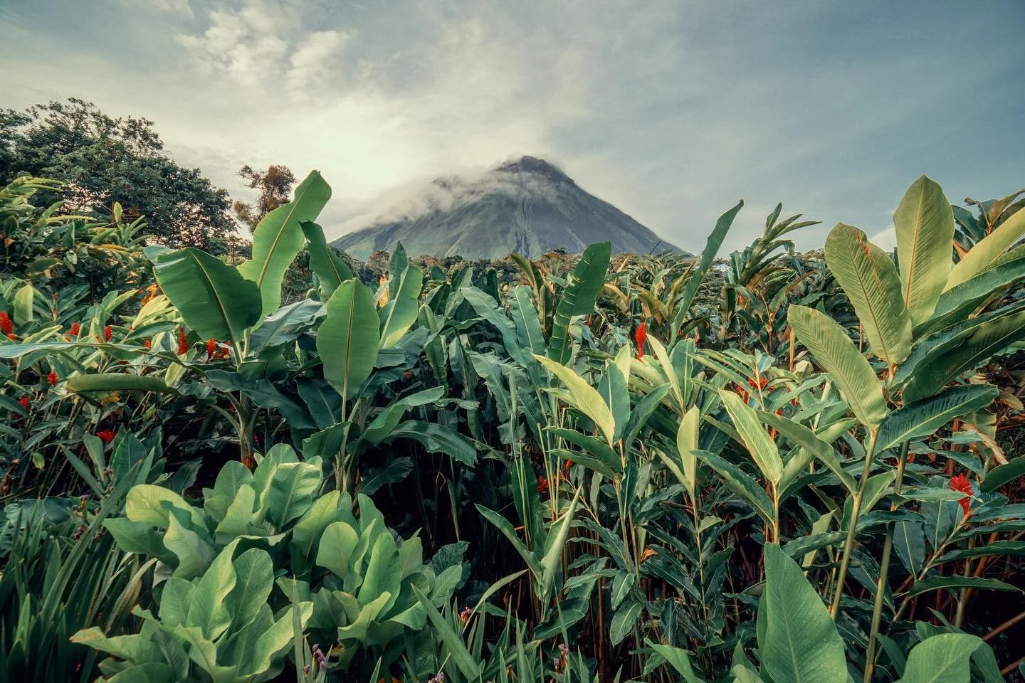 Two shots from trips back home to Costa Rica. Arenal volcano in all her glory and swipe to see the beach I went to religiously as a kid. 🏝️
#beachboy #latinvibes #arenalvolcano