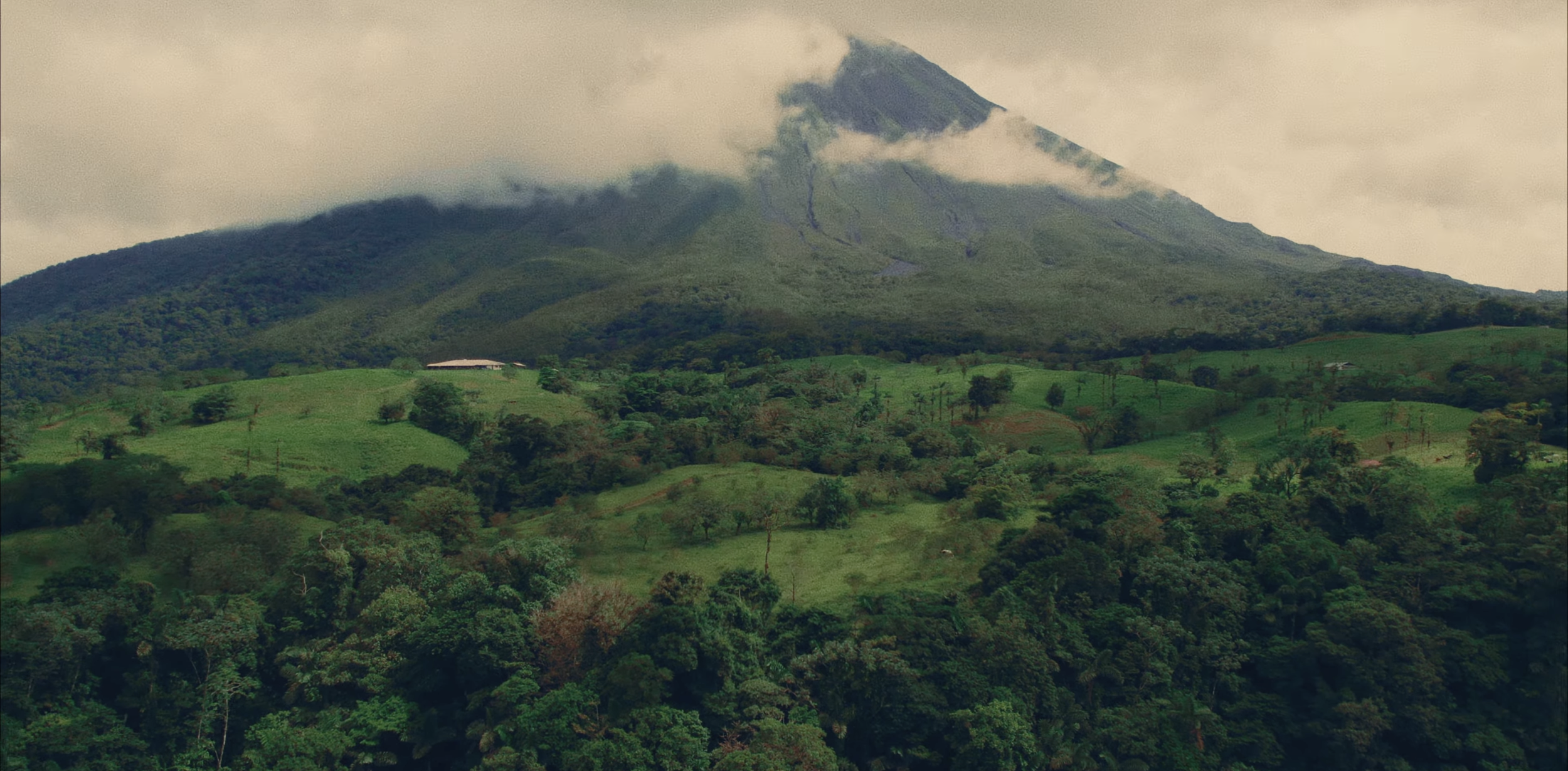 Screenshot 2026-02-26 at 11.45.11 PM.png