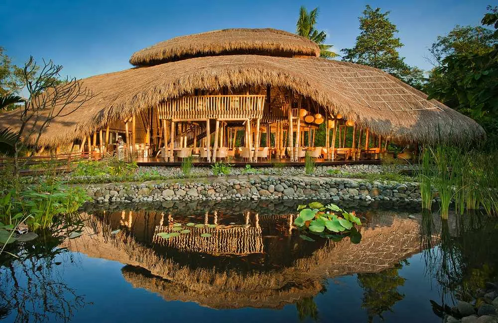 SpaWellnessConsultingFiveElementsBali.jpg