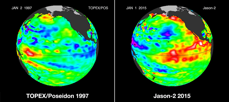 In August 2015, the Los Angeles Times compared the prevailing strength of the ‘Godzilla El Nino’ to the same time of year in 1997. The red and white patches depict the highest sea-surface heights above average, which indicate how warm sea-surface temperatures are above the average. Graphic: Bill Patzert, Climatologist, NASA Jet Propulsion Laboratory.