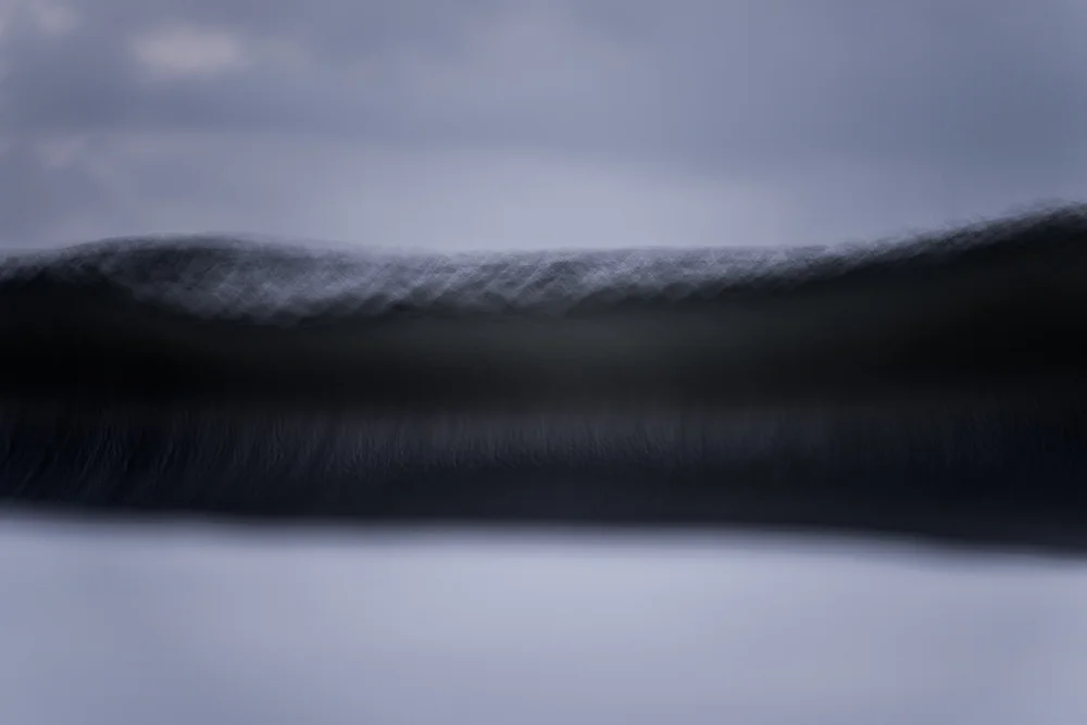 DSC_0548.jpg
