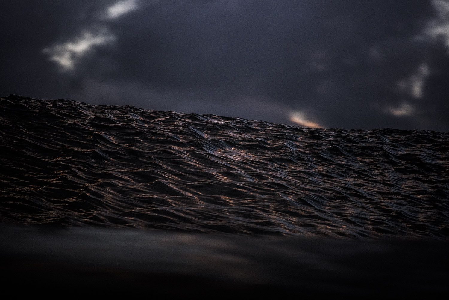 DSC_0809.jpg