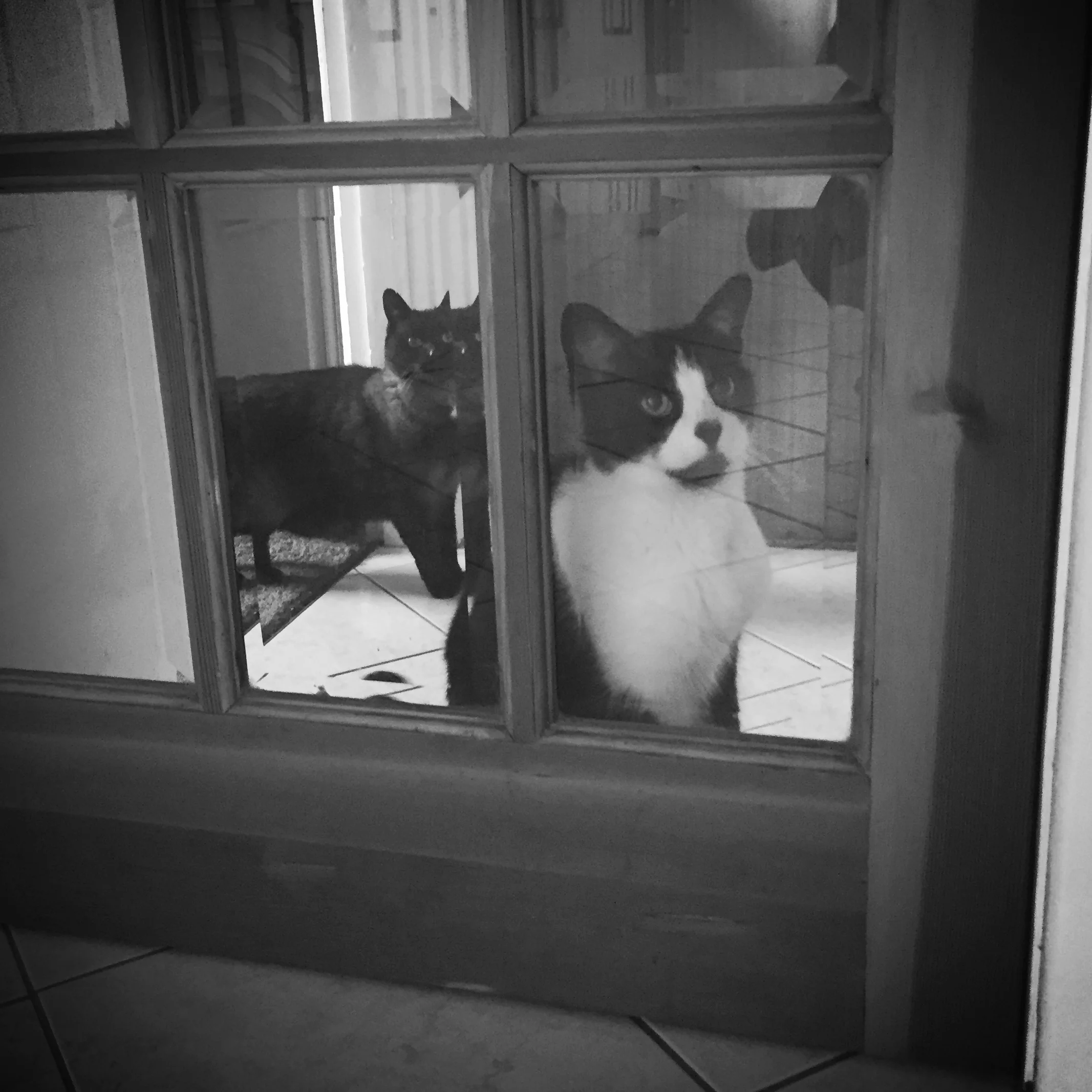 A little feel good story of true love