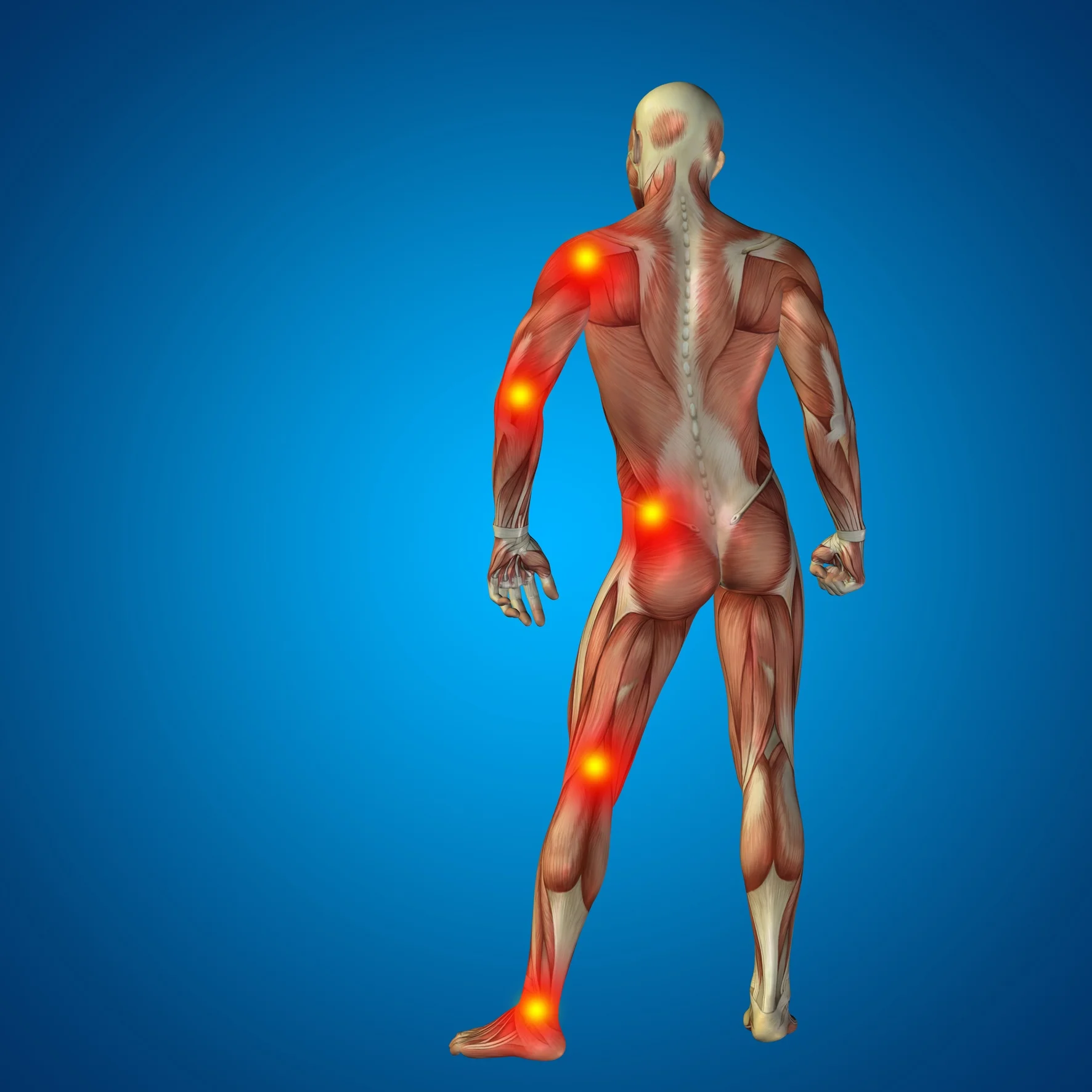 The importance of fascia in exercise