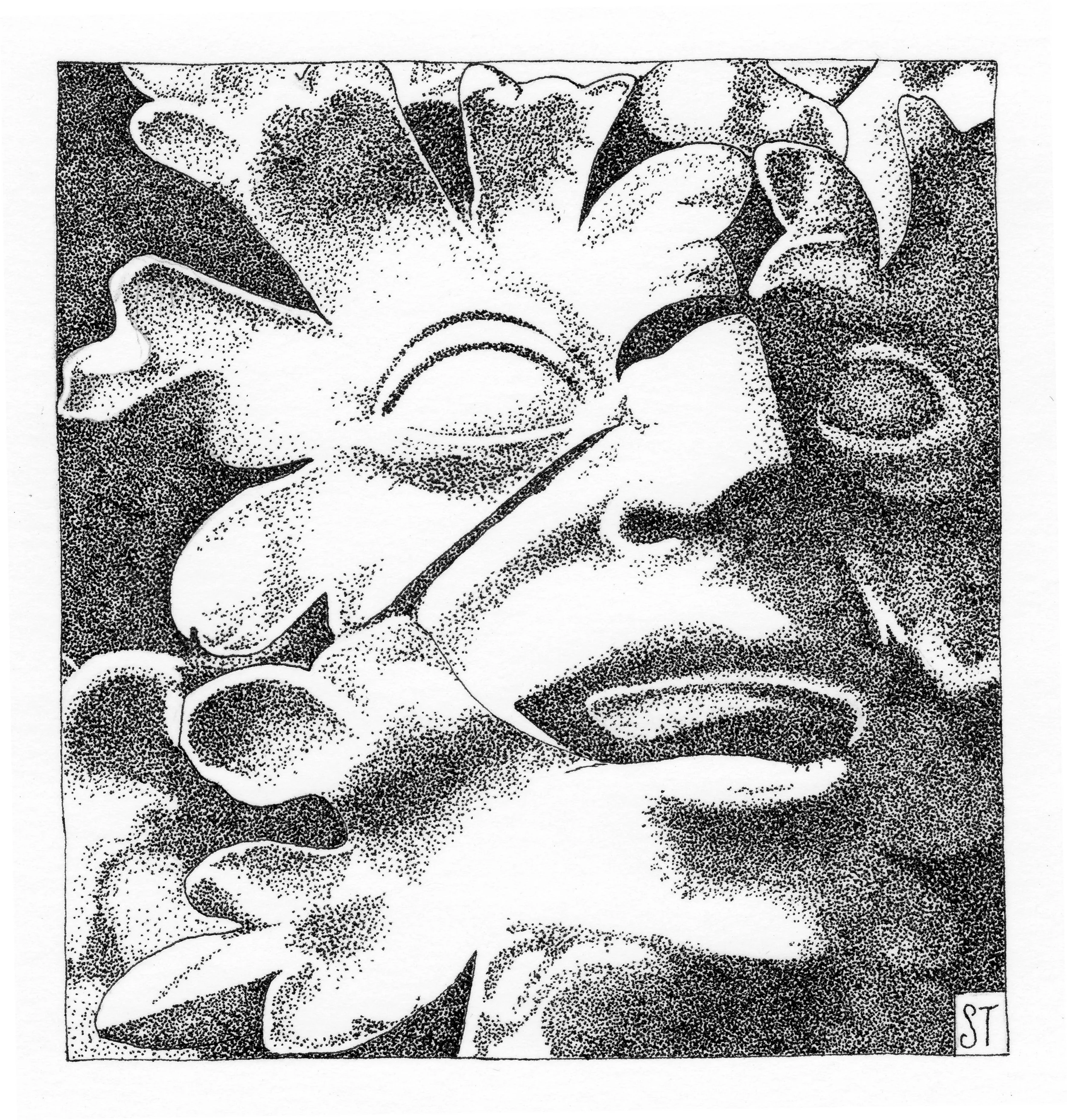 Lichfield Cathedral Greenman.JPG