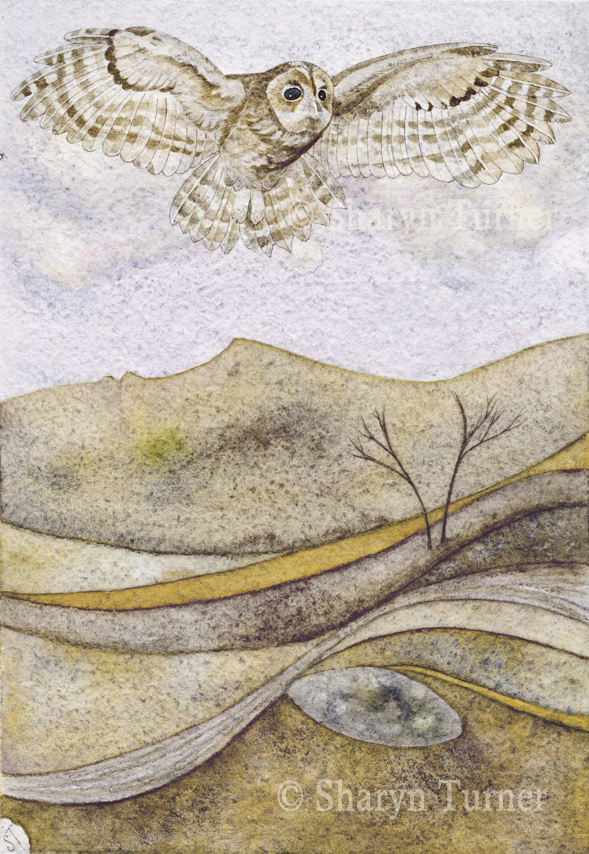 The Goddess and the Guardian - (Pen & Ink and Watercolour) © Sharyn Turner 2014
