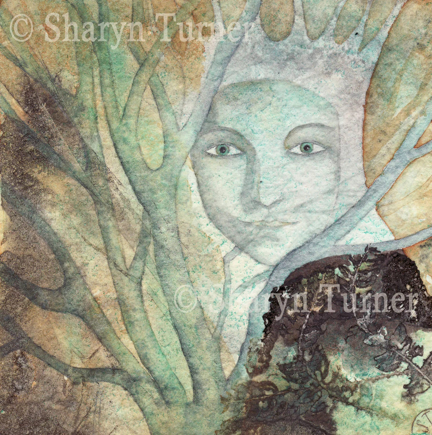 King of the Thicket - (Watercolour & Ink) © Sharyn Turner 2015
