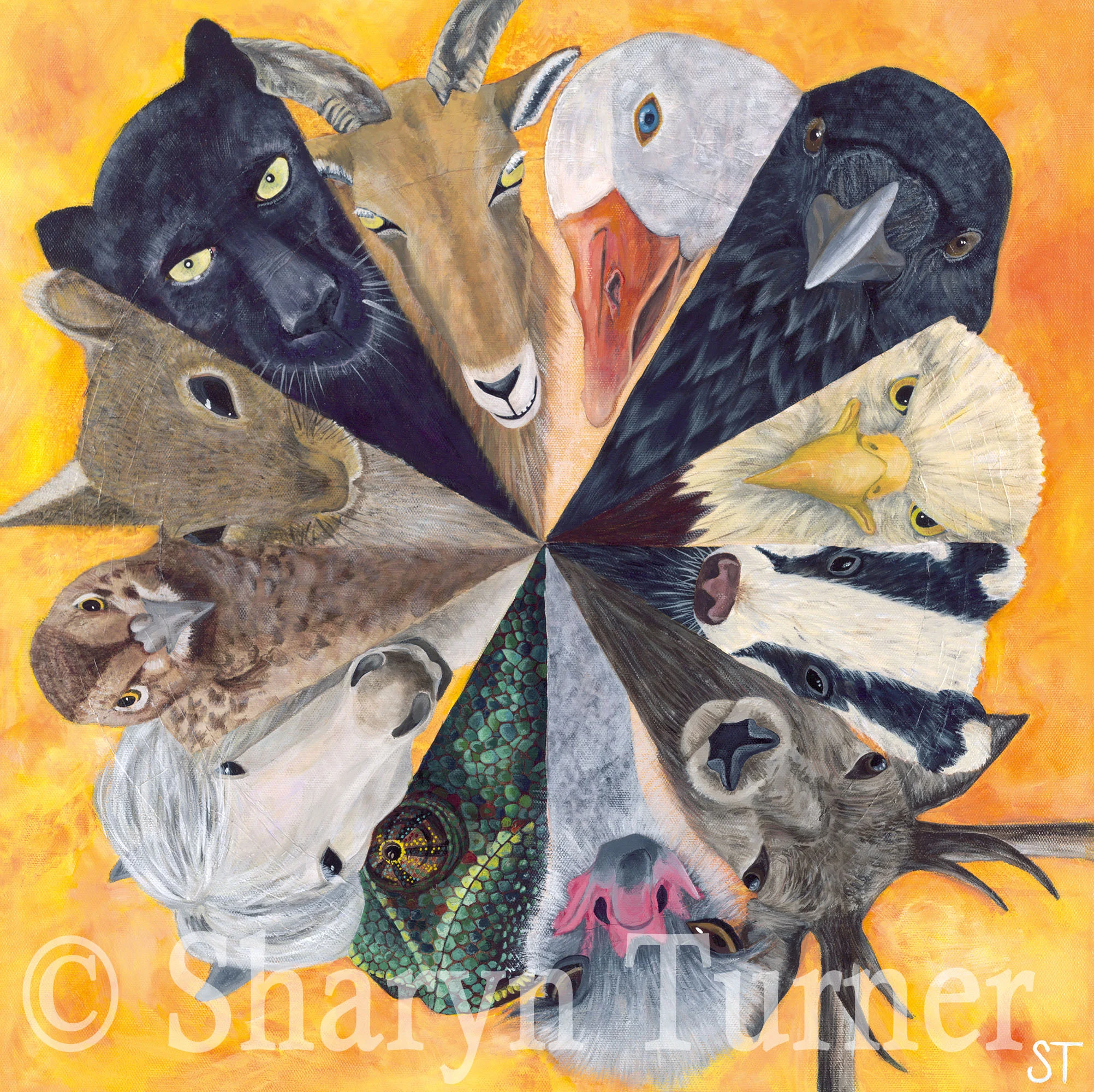 Circle of Friends (Acrylic on canvas) © Sharyn Turner 2016