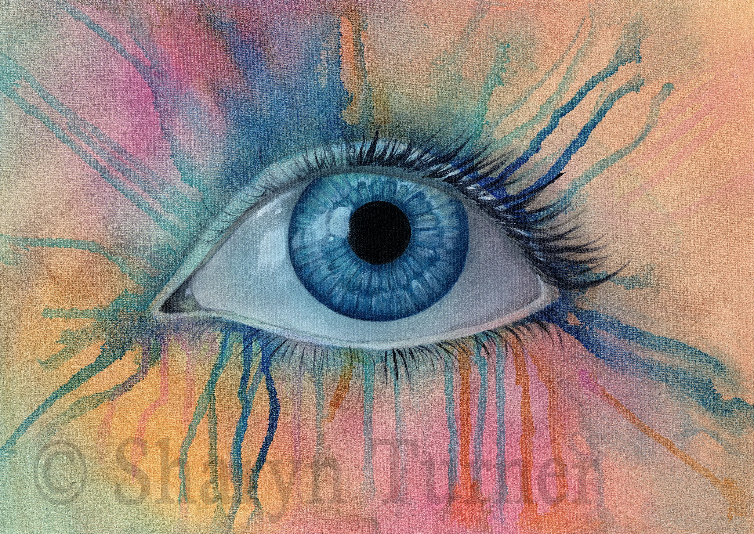 Promotional Artwork for "The Visual Journey" workshop © Sharyn Turner 2016 - Acrylic on board