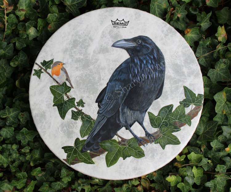 Raven & Robin Drum 16" Remo