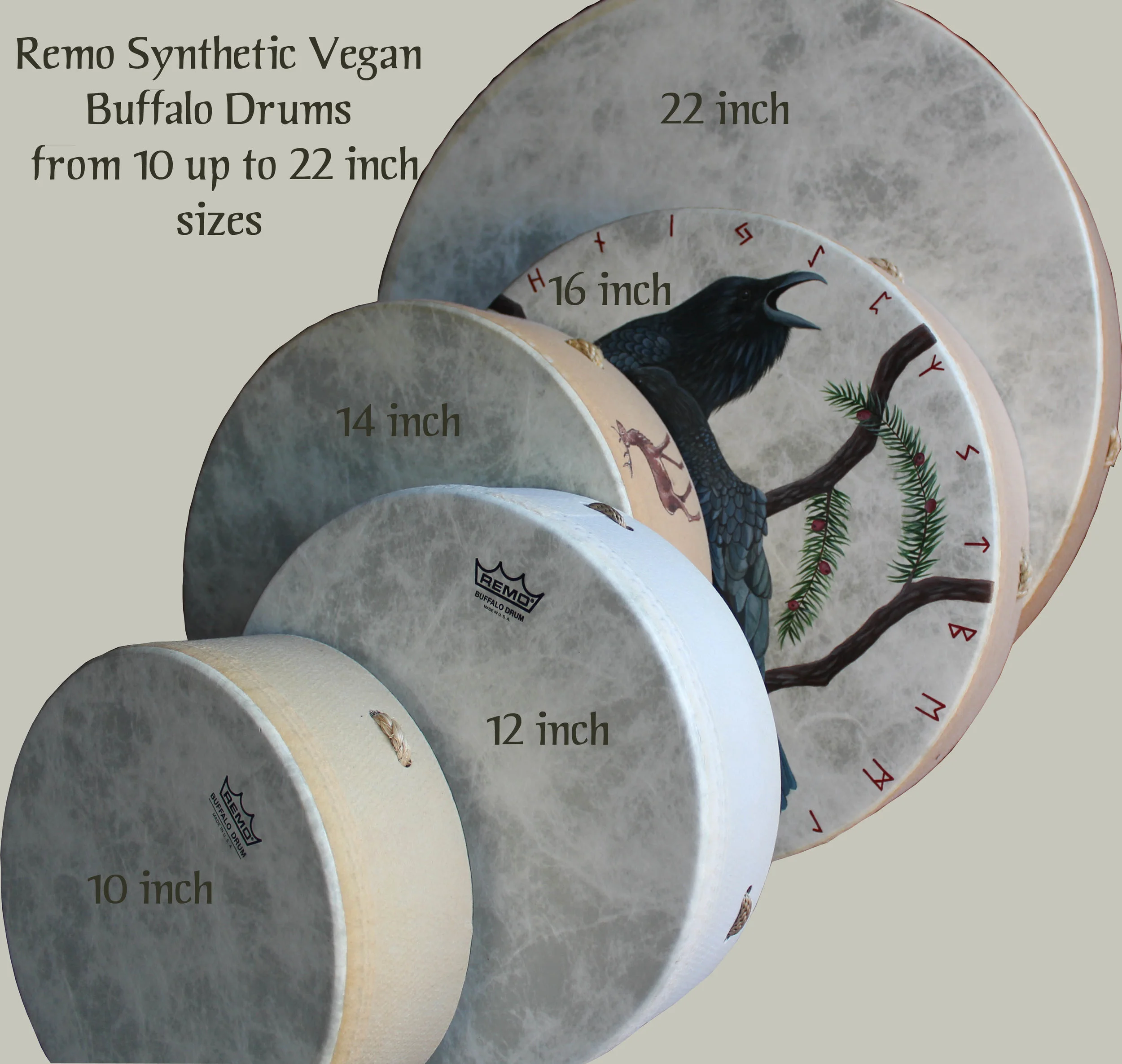 The full range of sizes available as Remo Buffalo Drums - from highly portable and lightweight 10 inch up to booming, arm aching 22 inches!