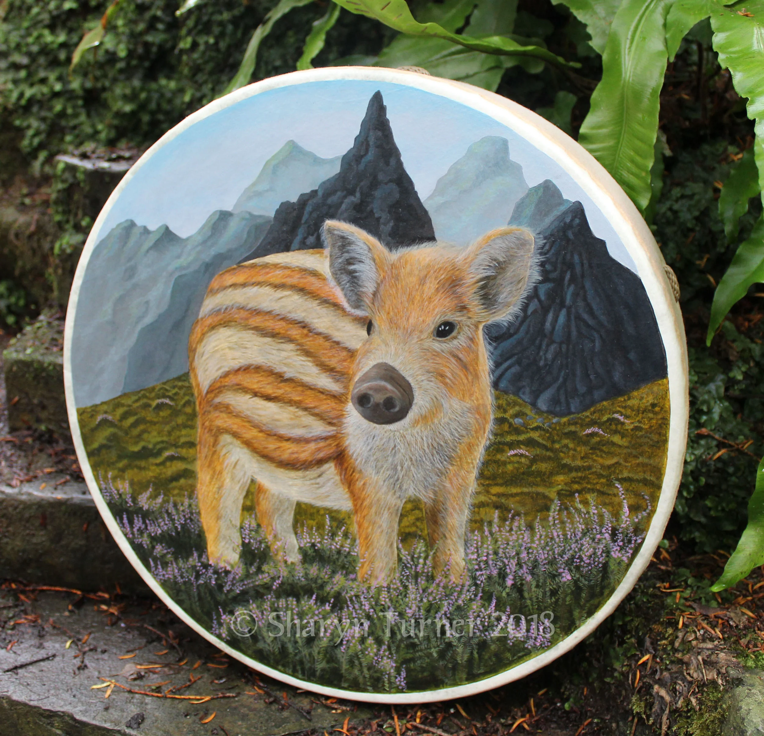 Wild Boar Piglet Drum - Acrylic on Fibreskyn © Sharyn Turner 2018