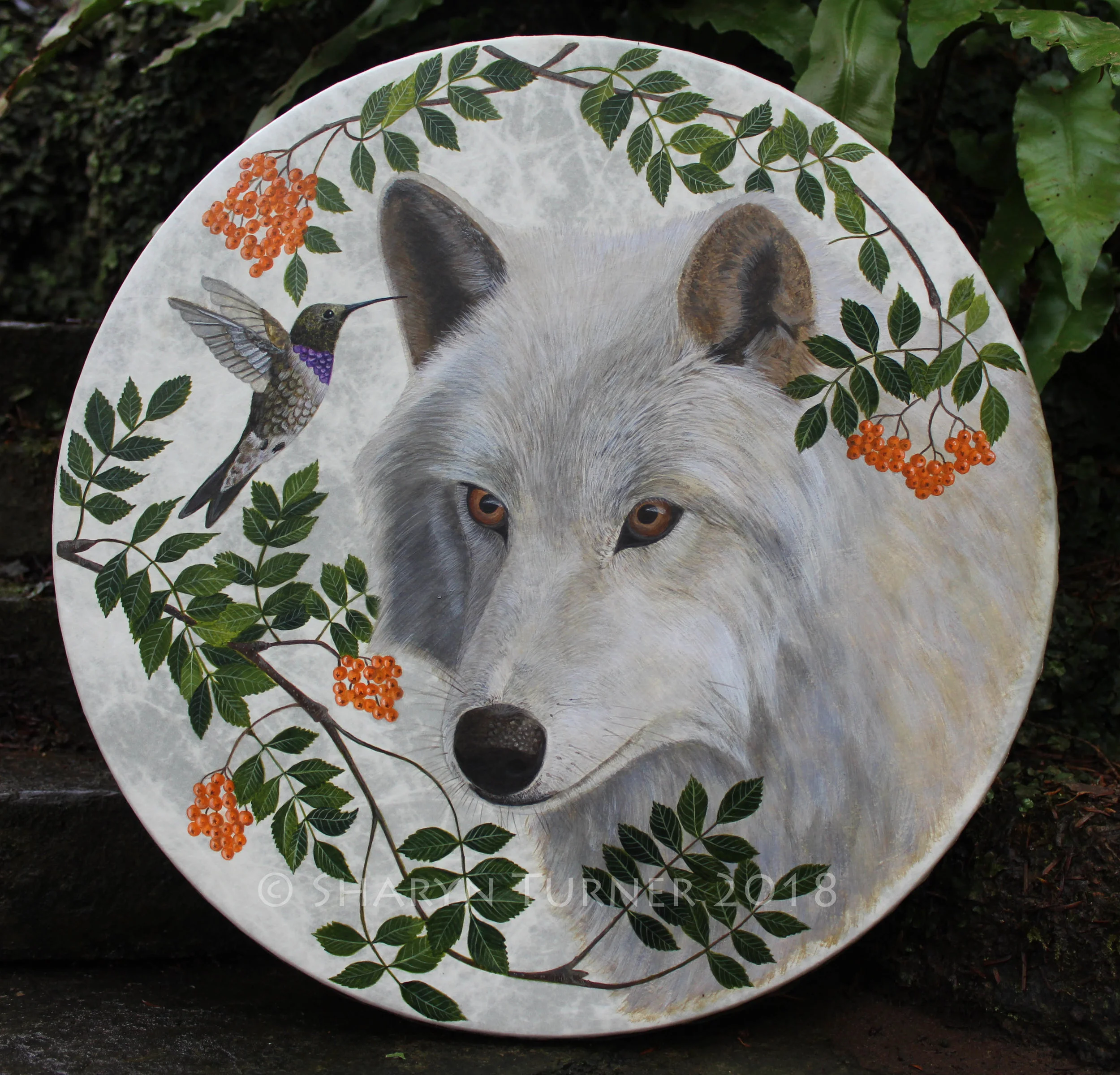 Wolf, Hummingbird & Rowan Drum - Acrylic on Fibreskyn © Sharyn Turner 2018