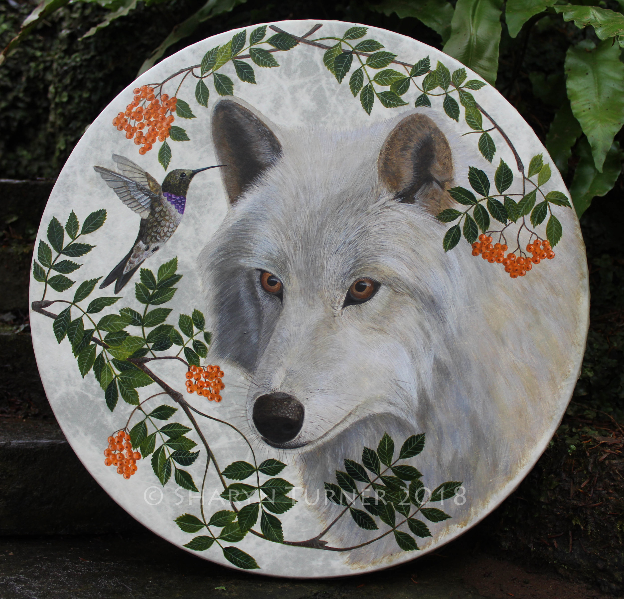 Wolf & Hummingbird Drum 16" Remo