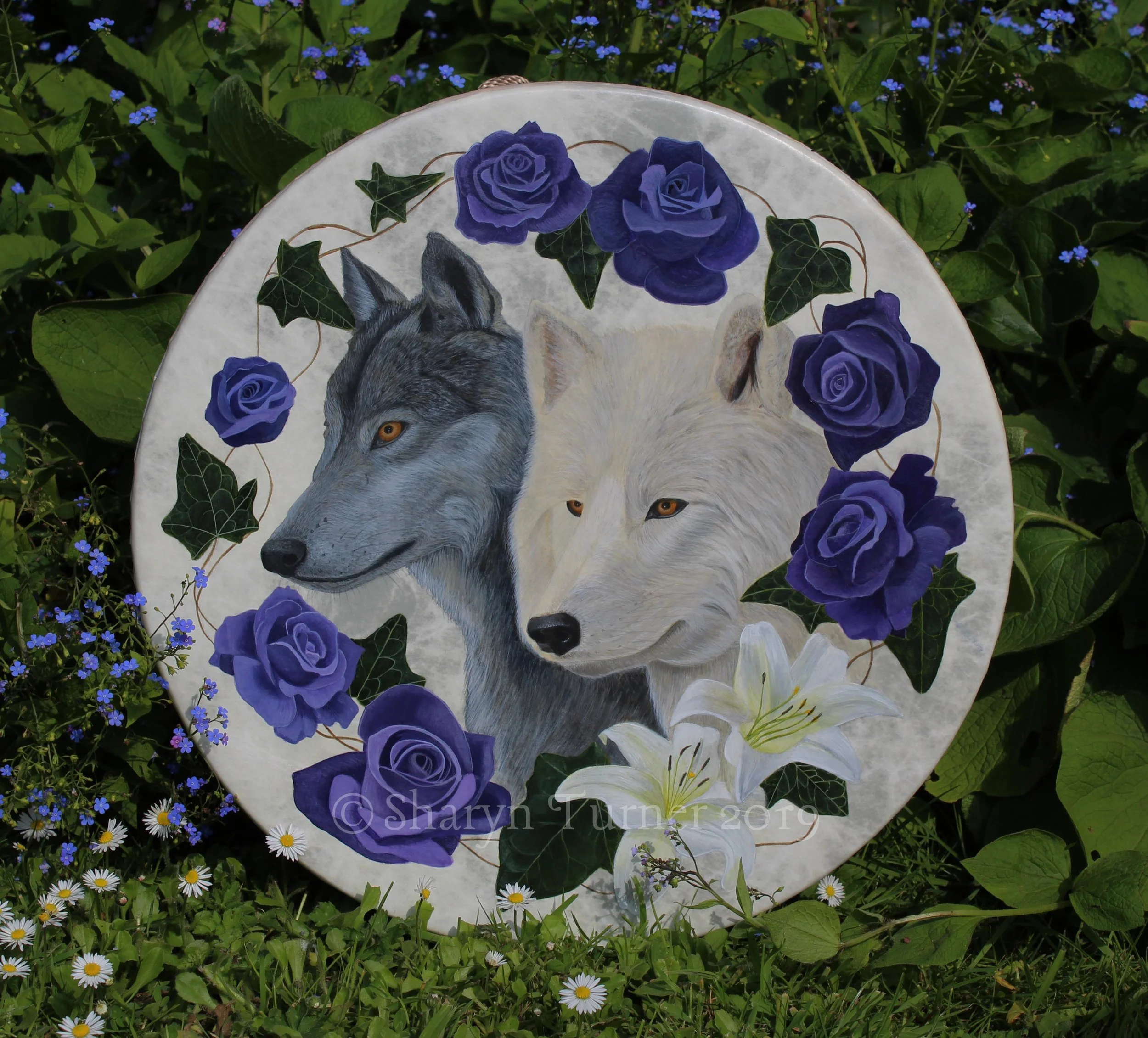 Two Wolves Drum - Acrylic on Fibreskyn © Sharyn Turner 2019