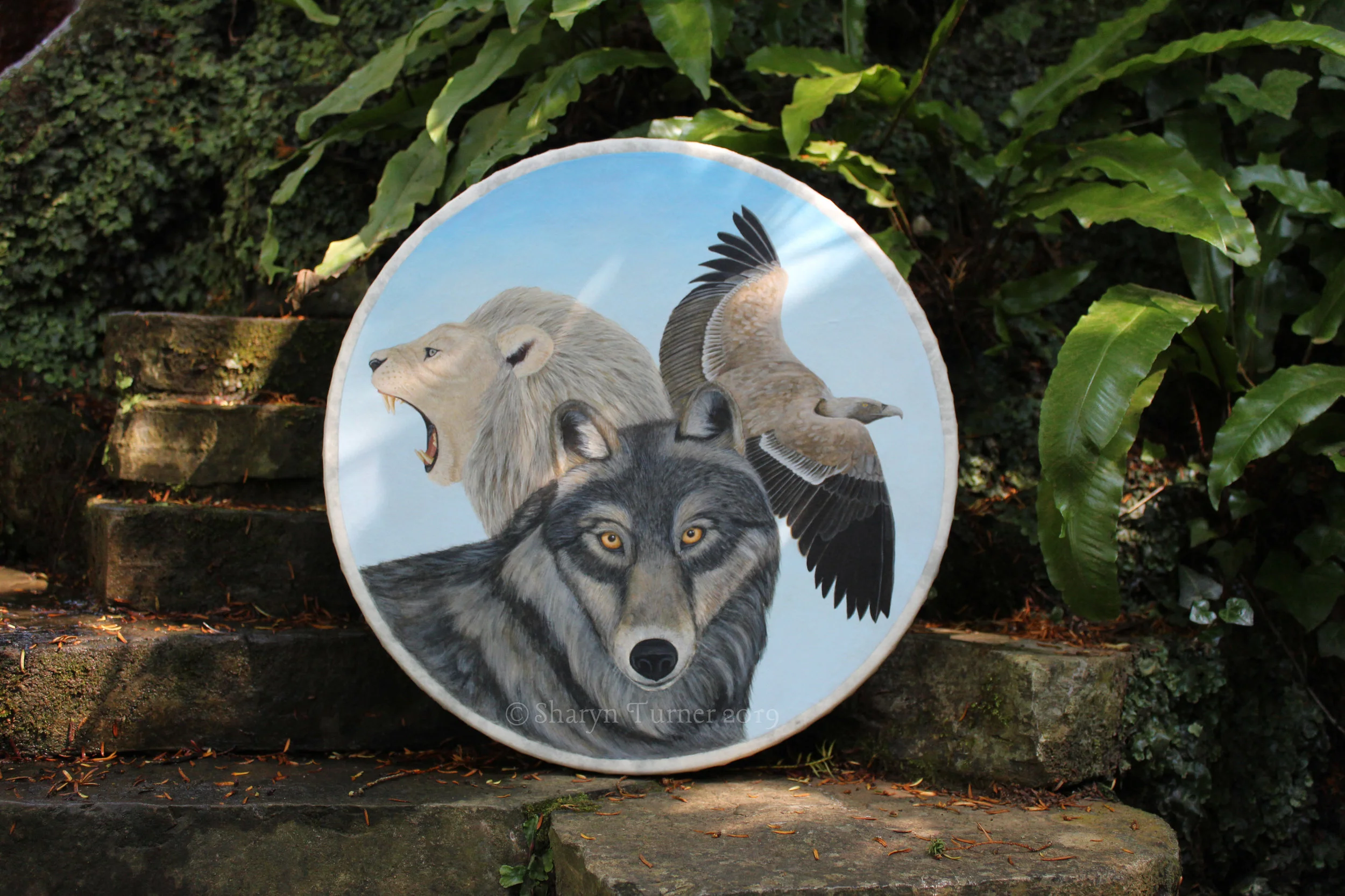 Wolf, Lion and Vulture Drum - Acrylic on Fibreskyn © Sharyn Turner 2019