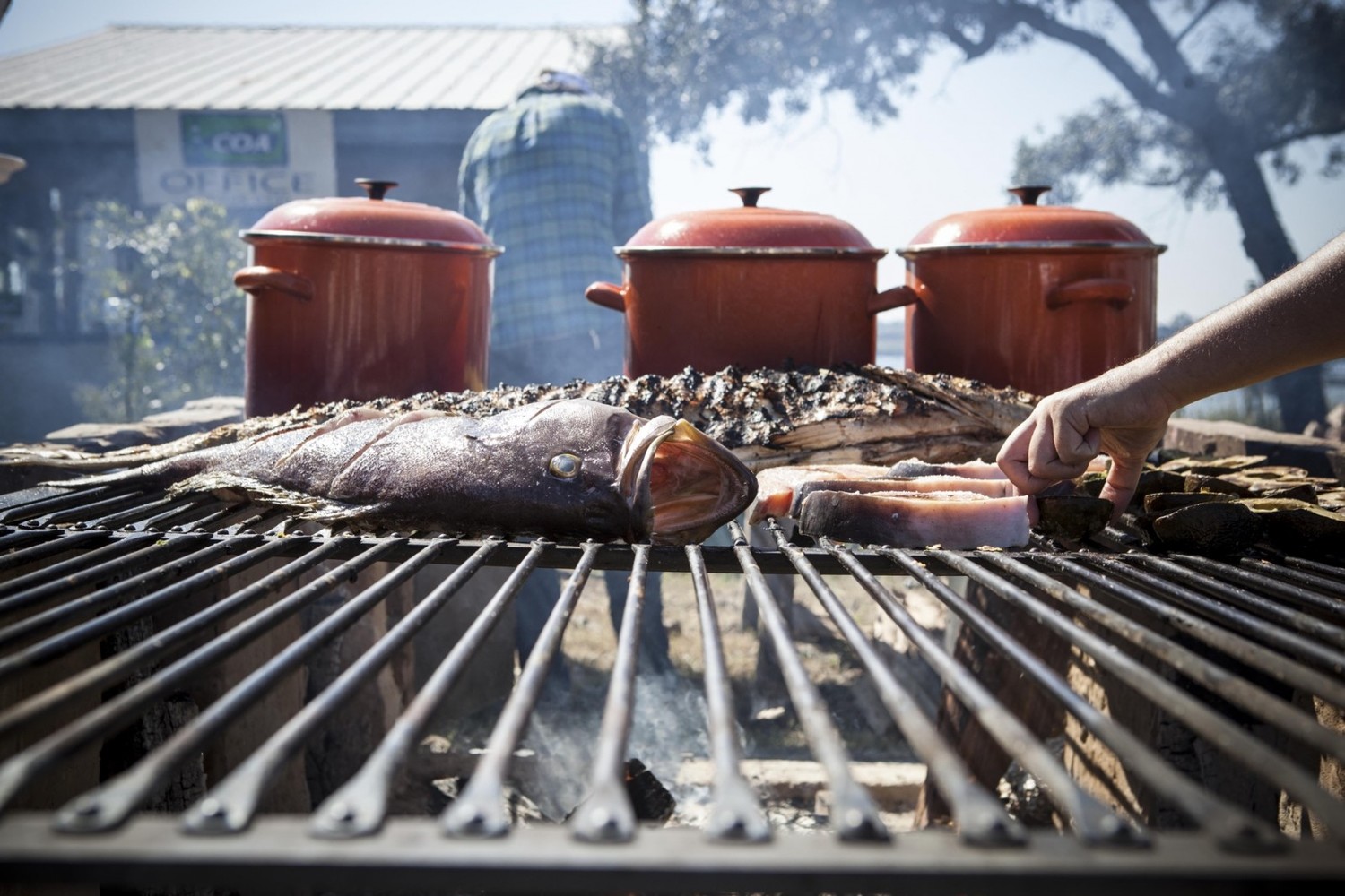 emiliebaltz_cooking10_charleston2013-1600x1067.jpg