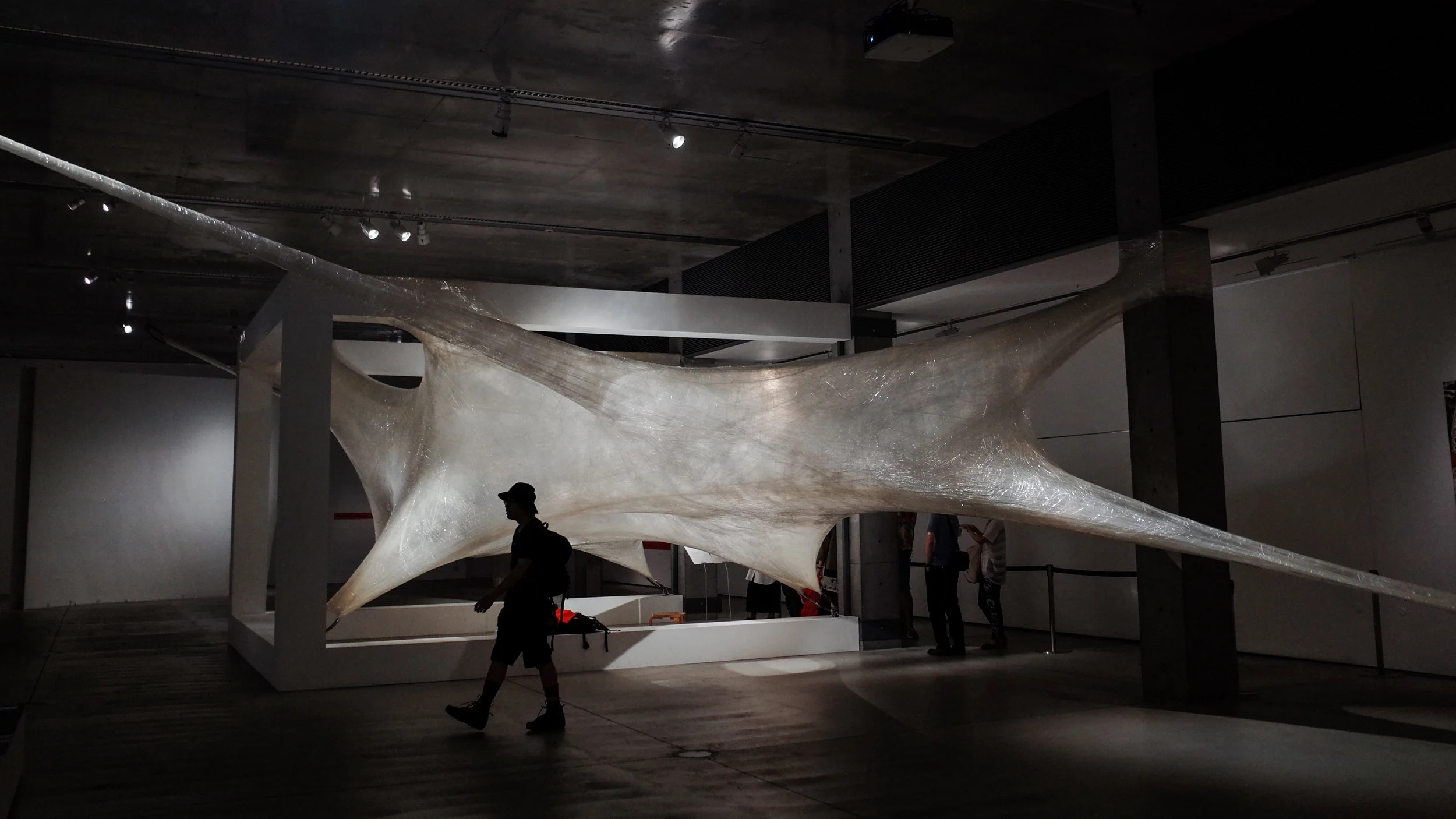 20170726_2121展-21.jpg