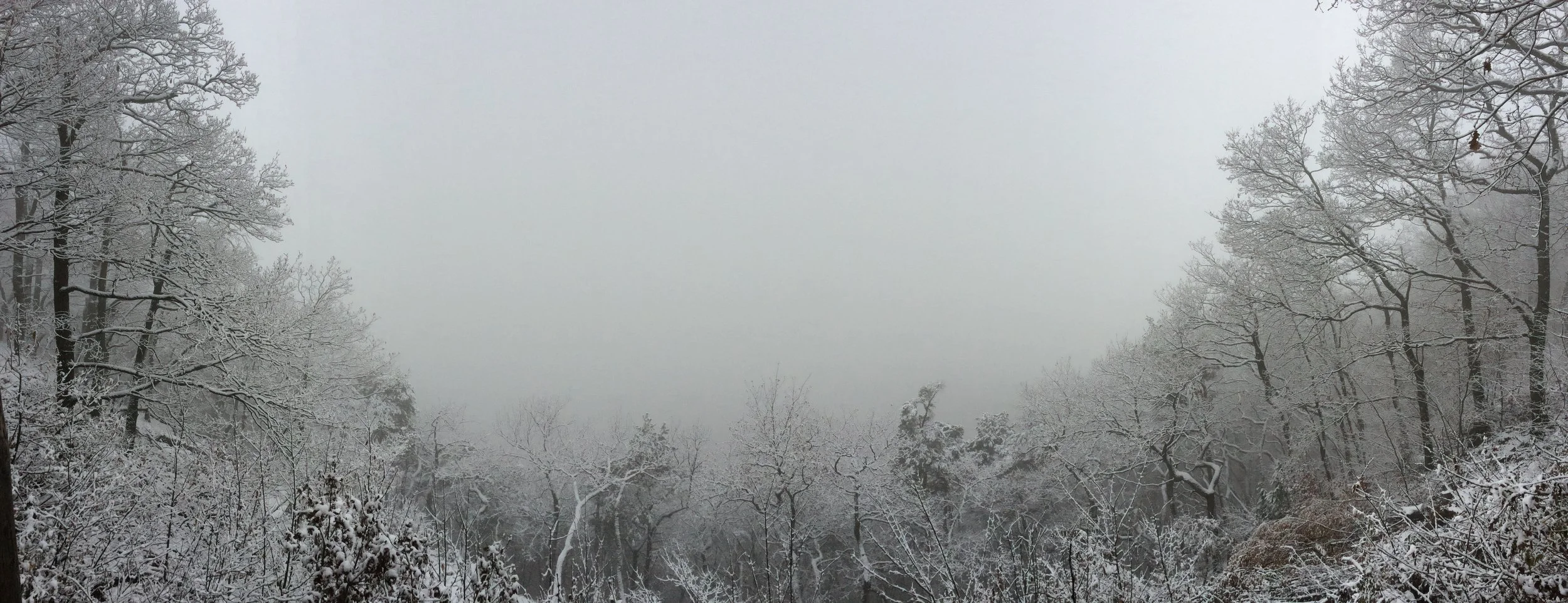 Winter in Heidelberg