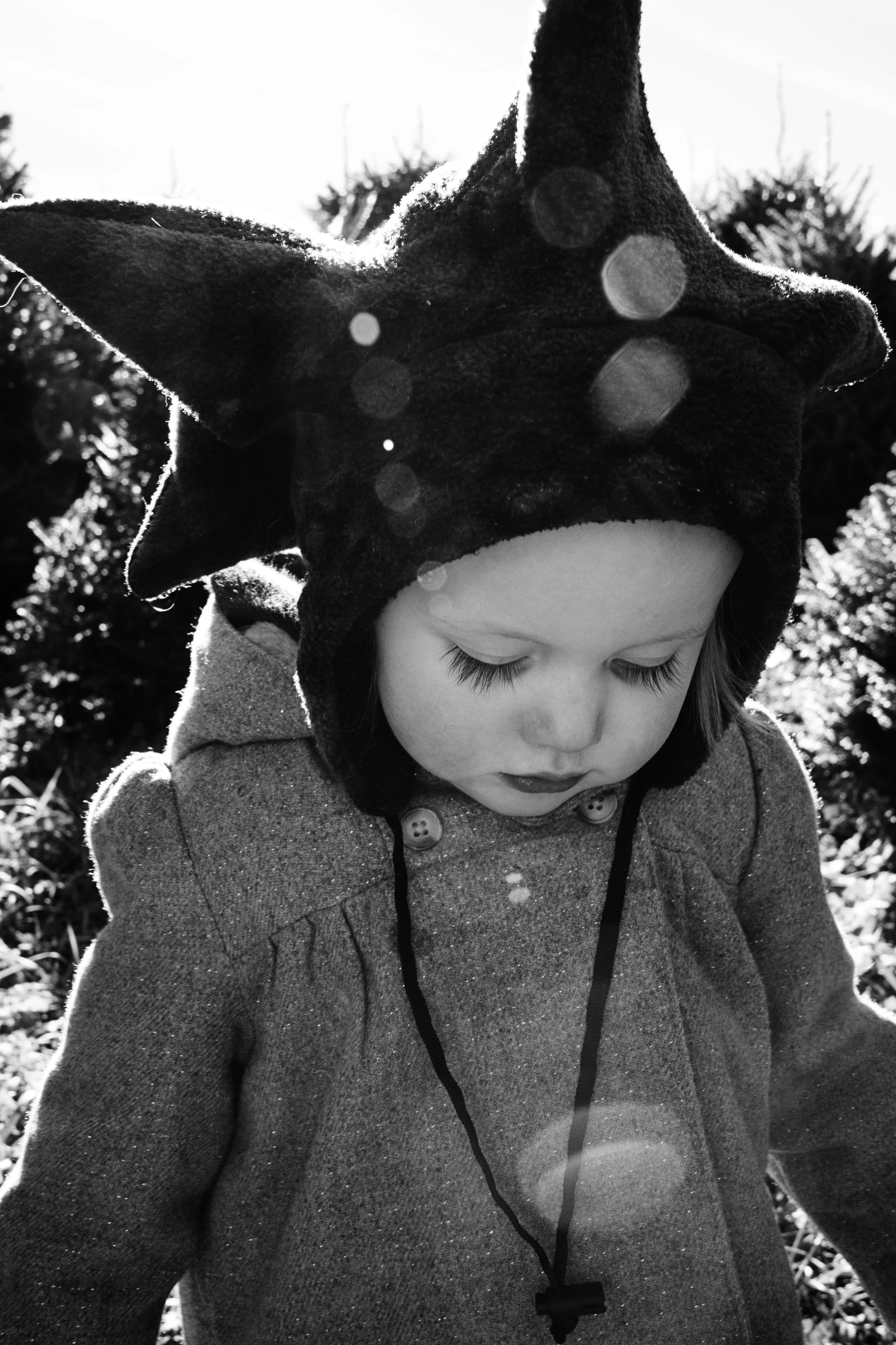 11.24.13 14bw.jpg