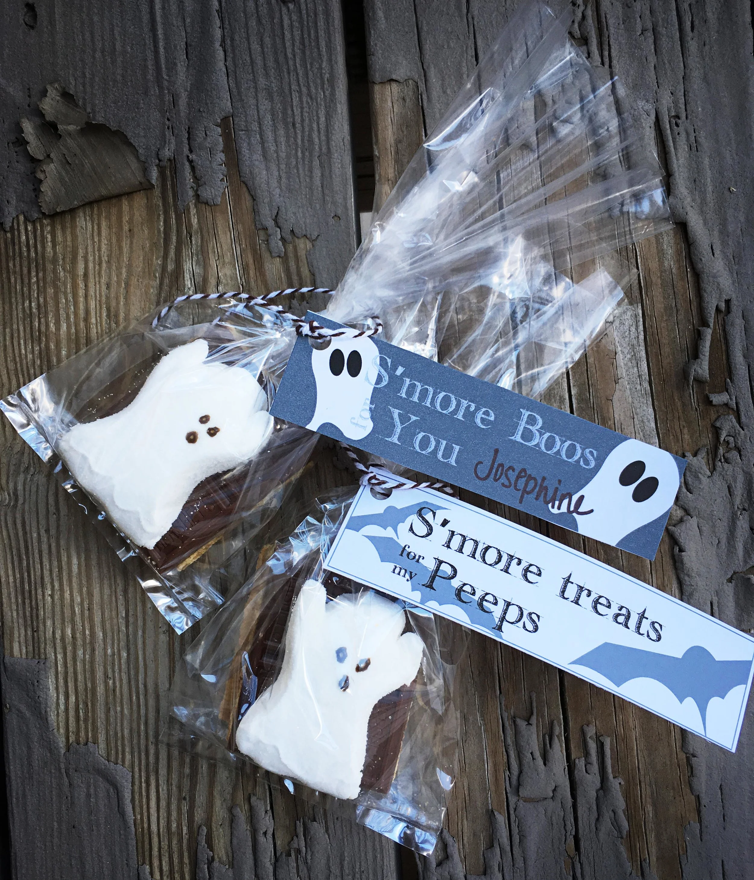 S'more Peeps Halloween Classmate Gift