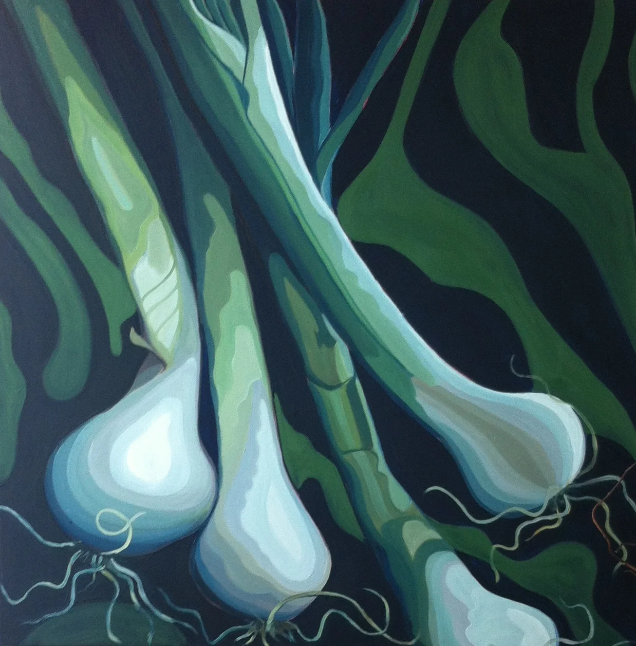 Spring Onions (SOLD)