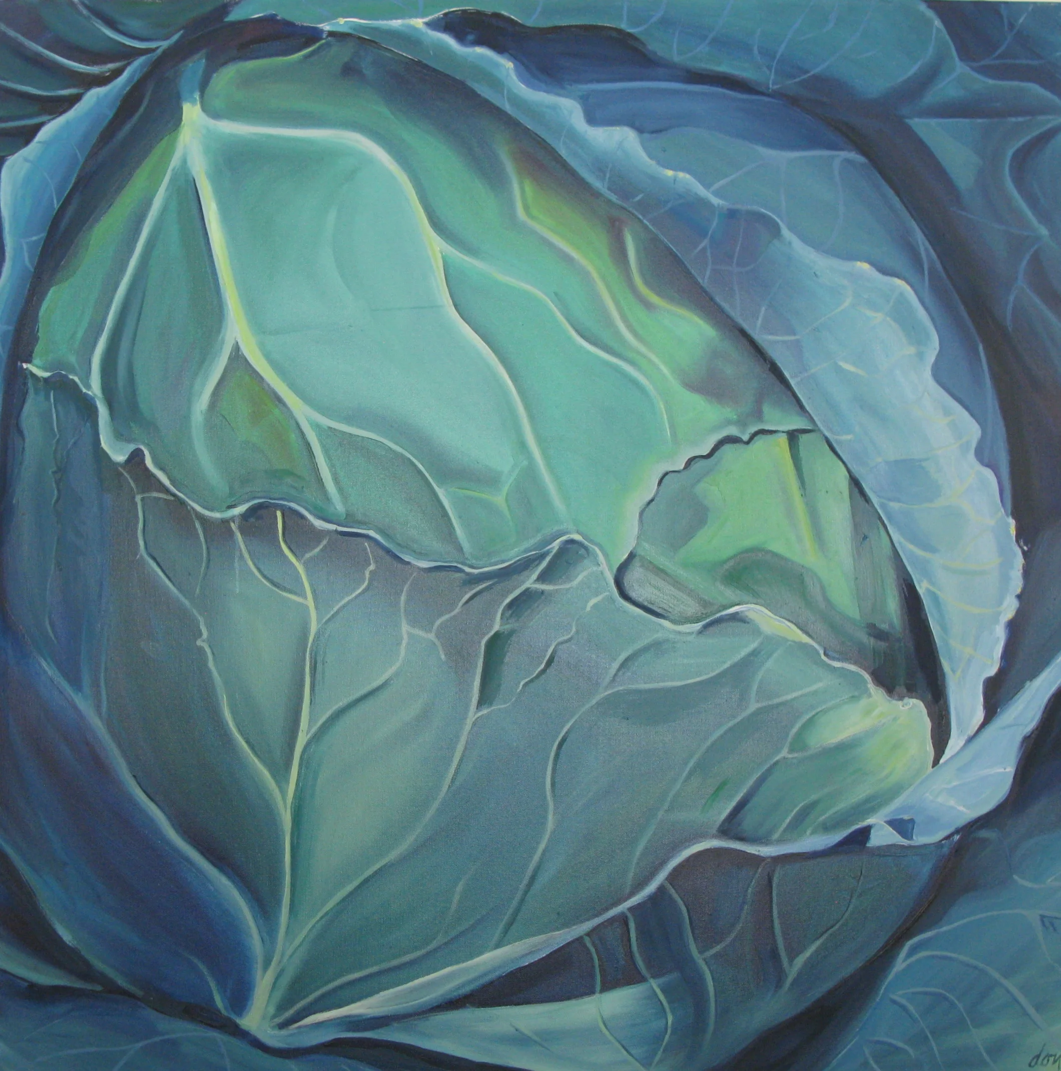 Cabbage