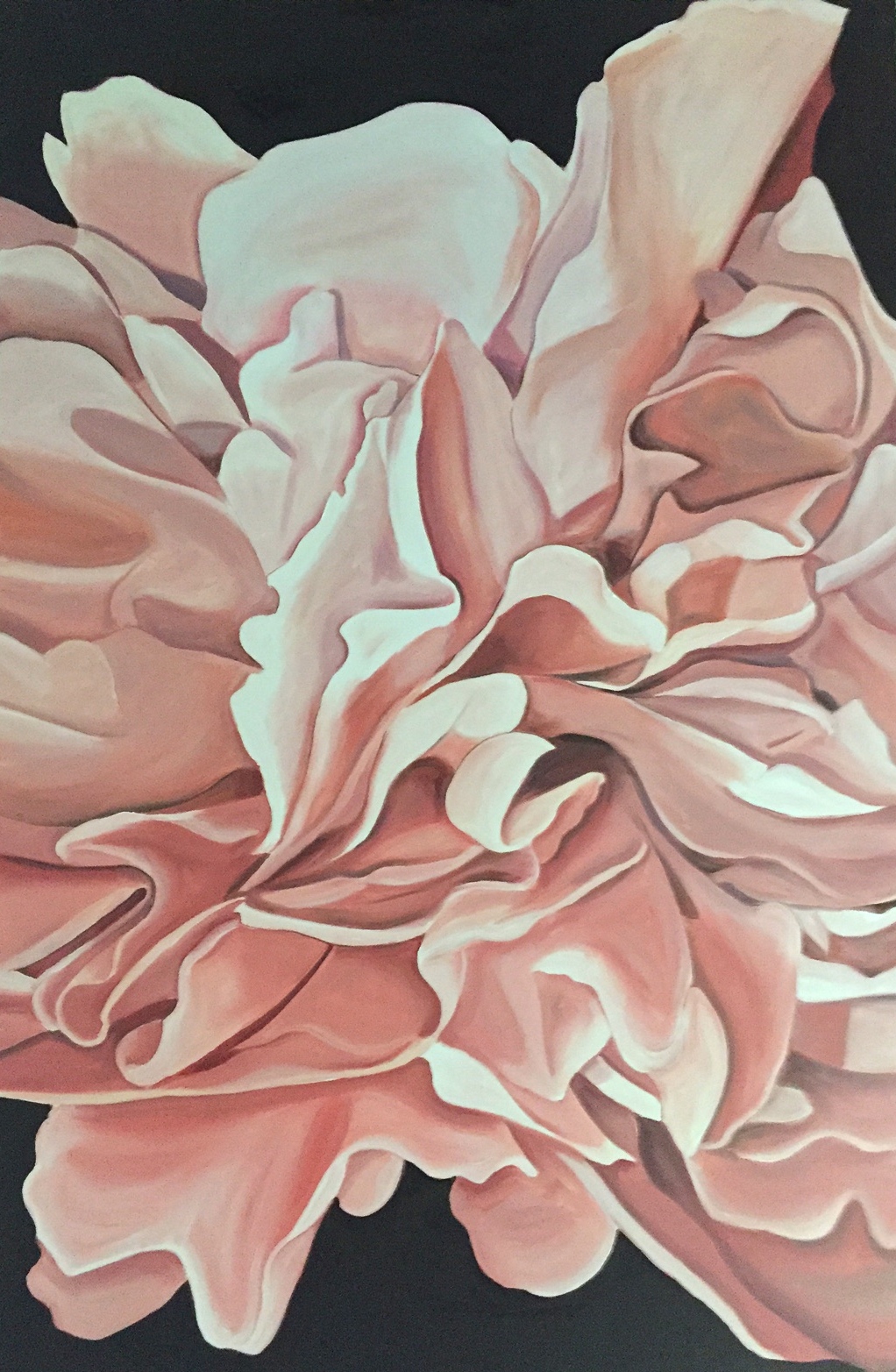 Chrysanthemum