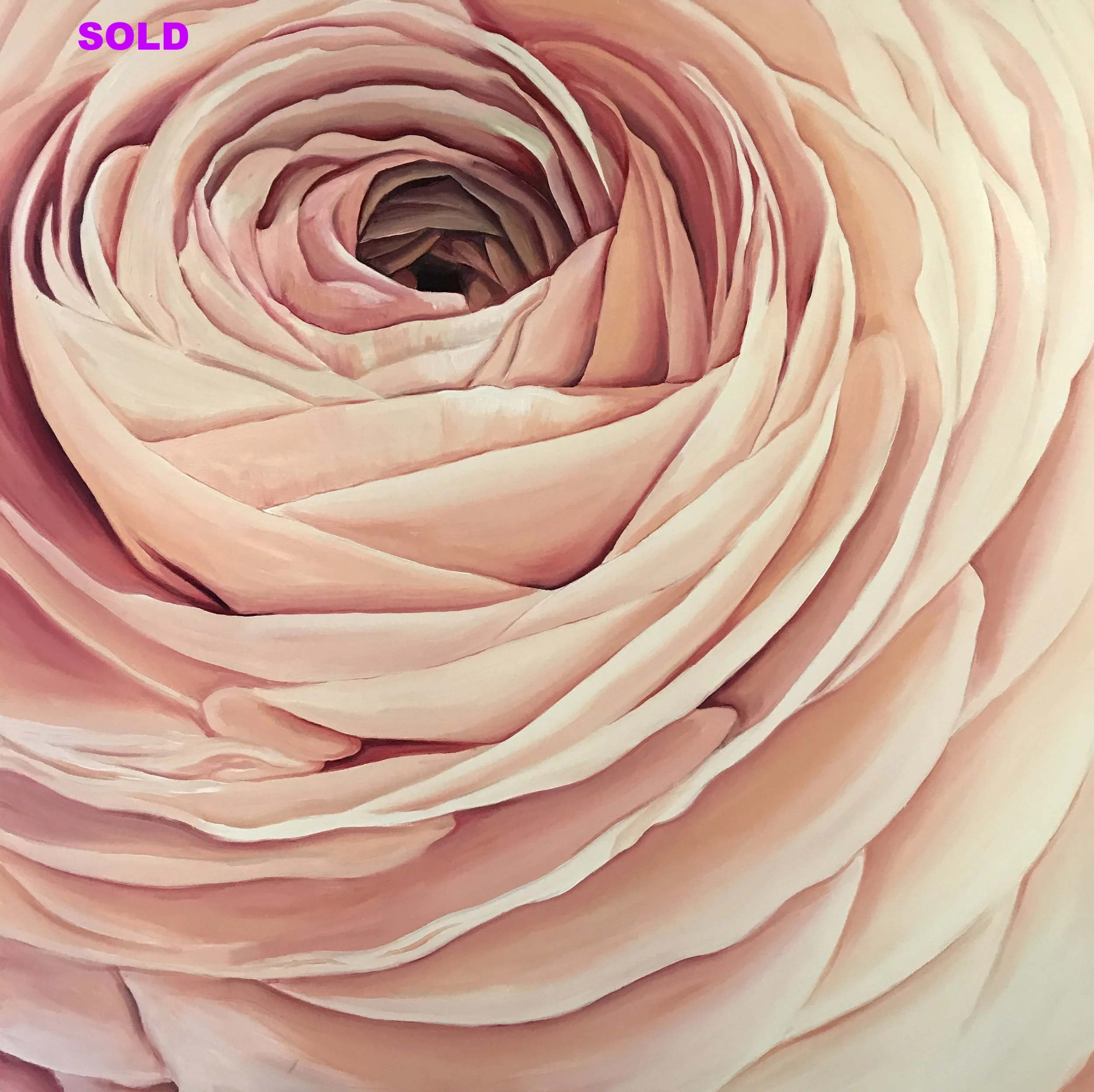 Ranunkel Pink (sold)