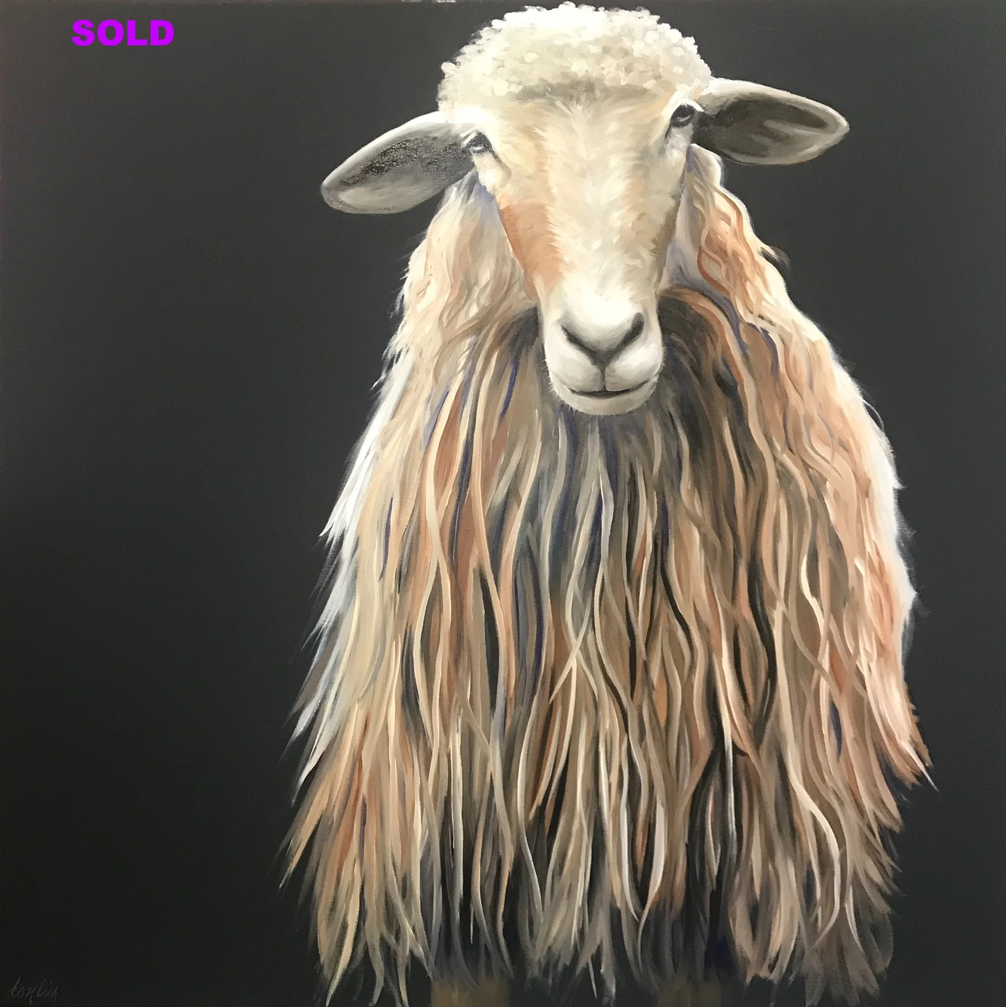 Sheep Portrait 1 (sold)