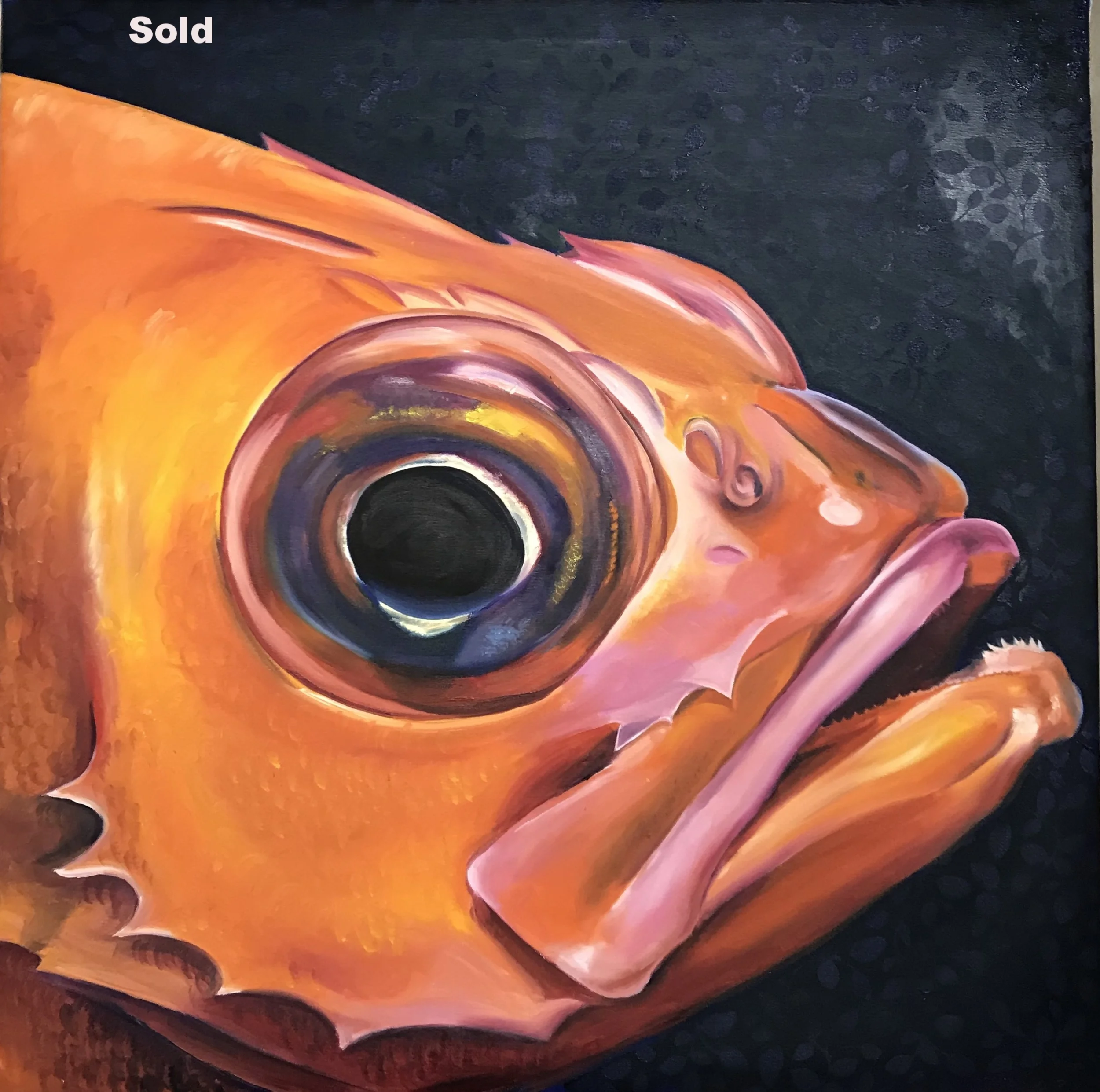 Norway Redfish (SOLD)