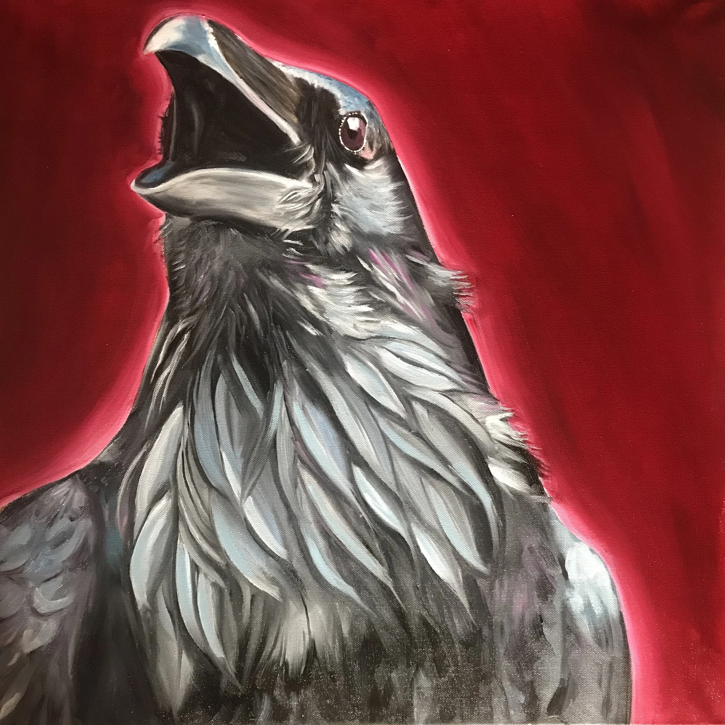 Royal Raven (sold)