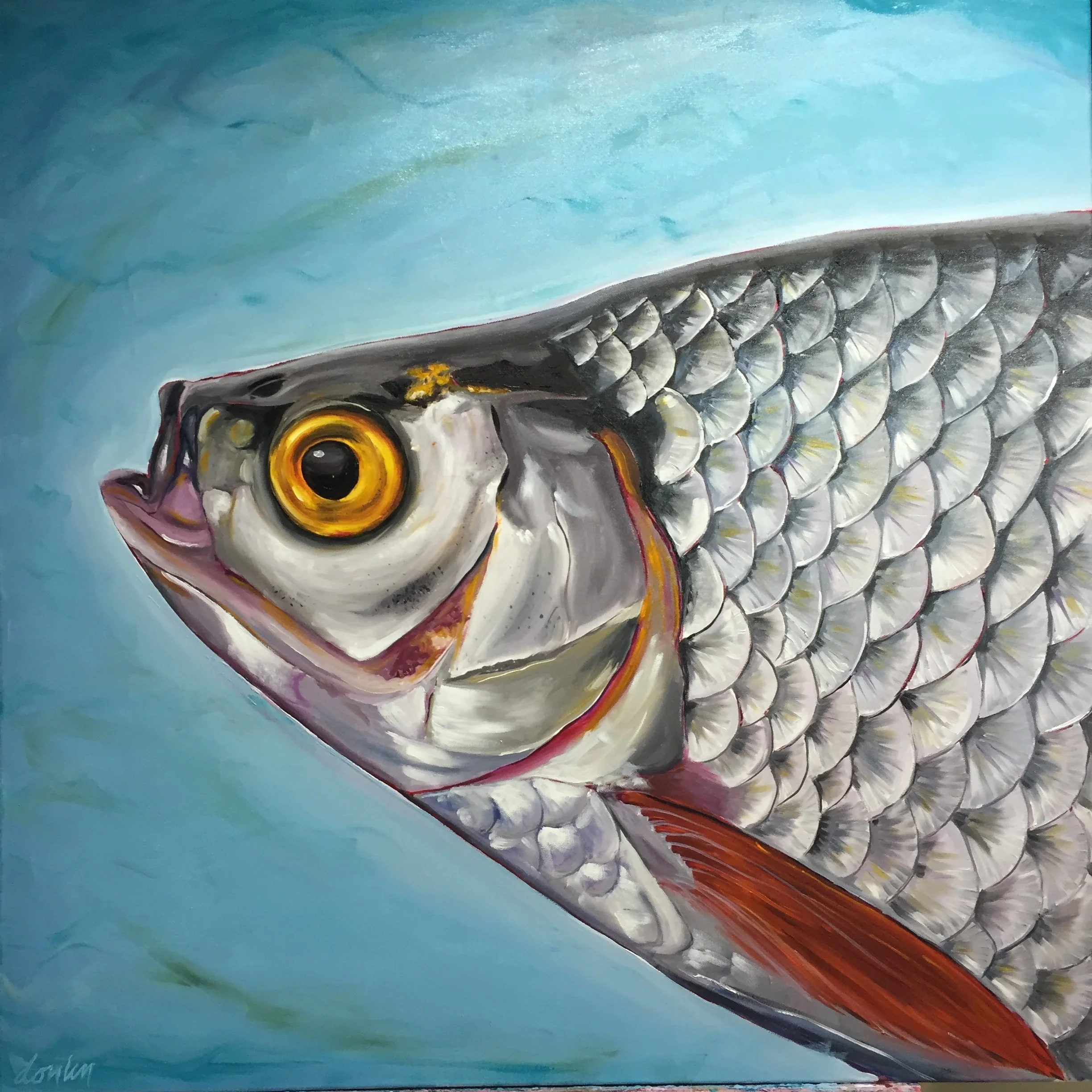 Fishy