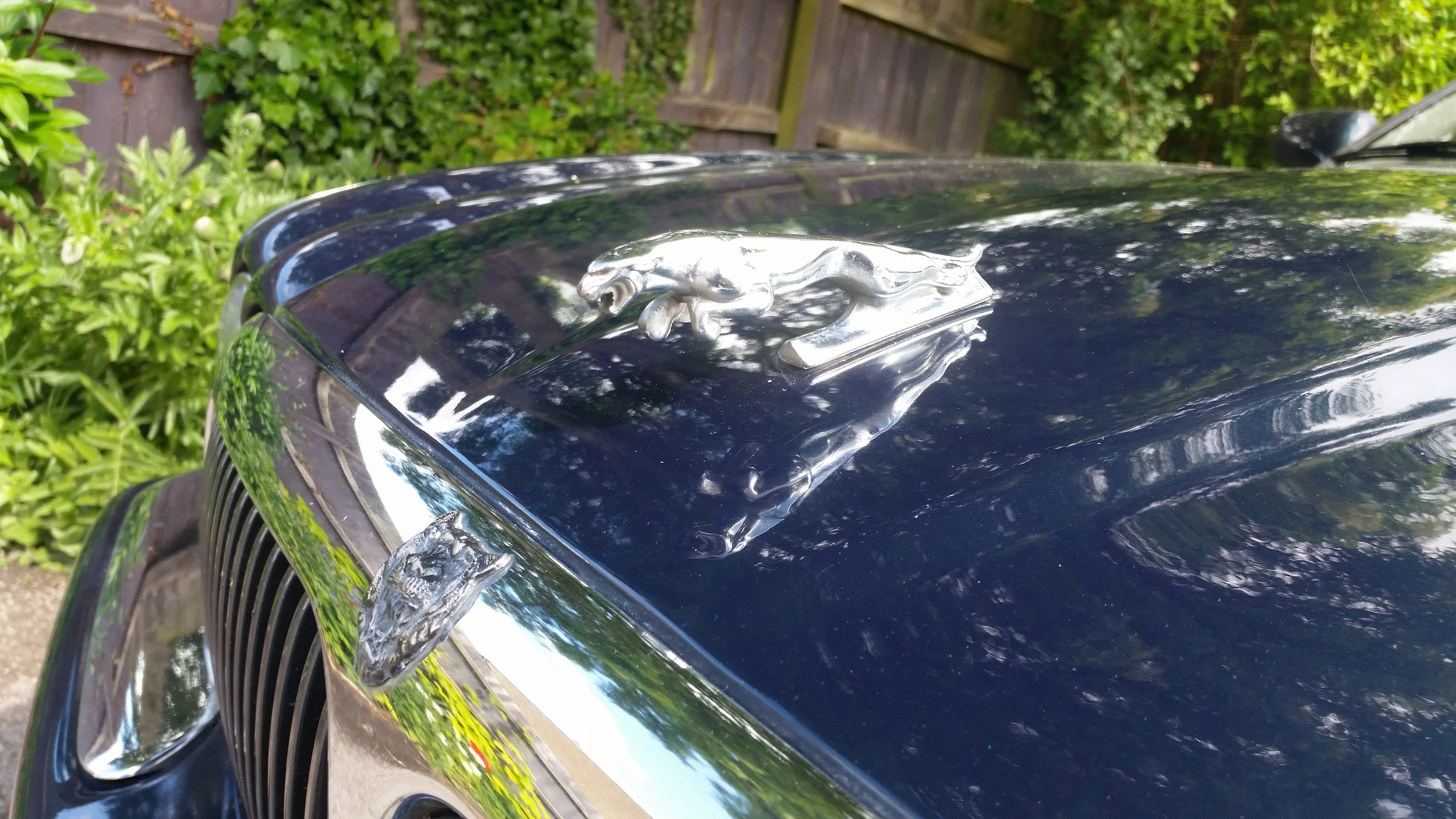20150602_152102.jpg