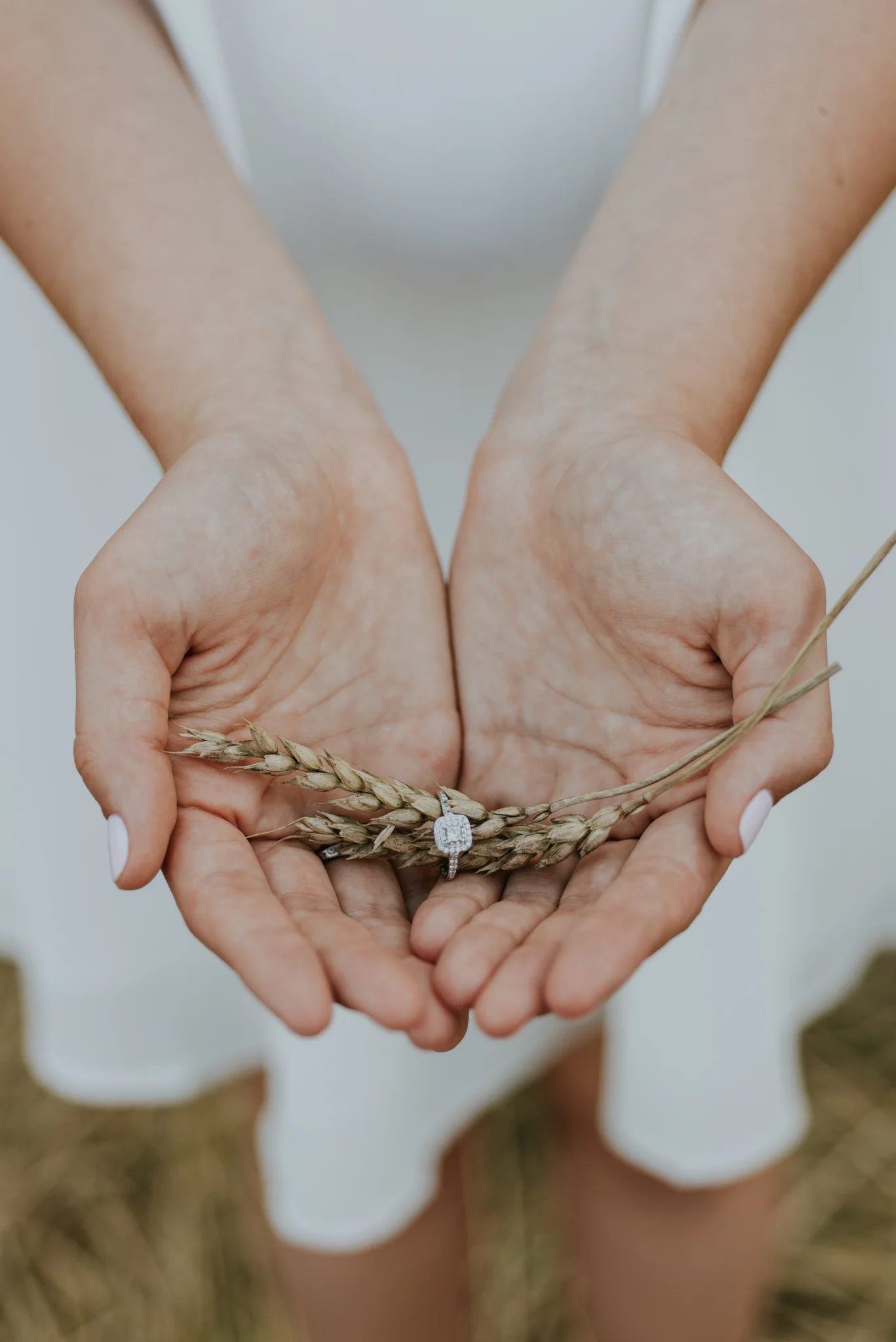 toronto-wedding photographer- country chic 2.jpg