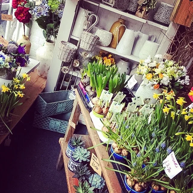 A New Chapter: The shop Update