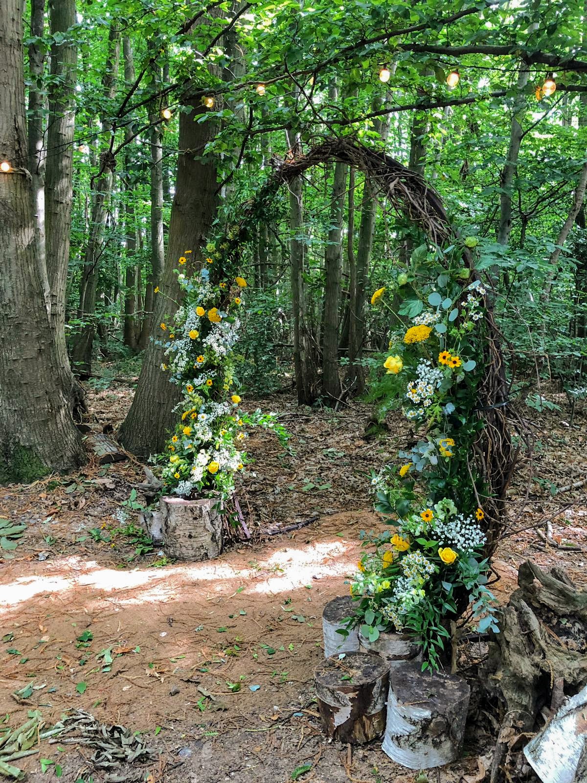 Archway at The Dreys in the woodland