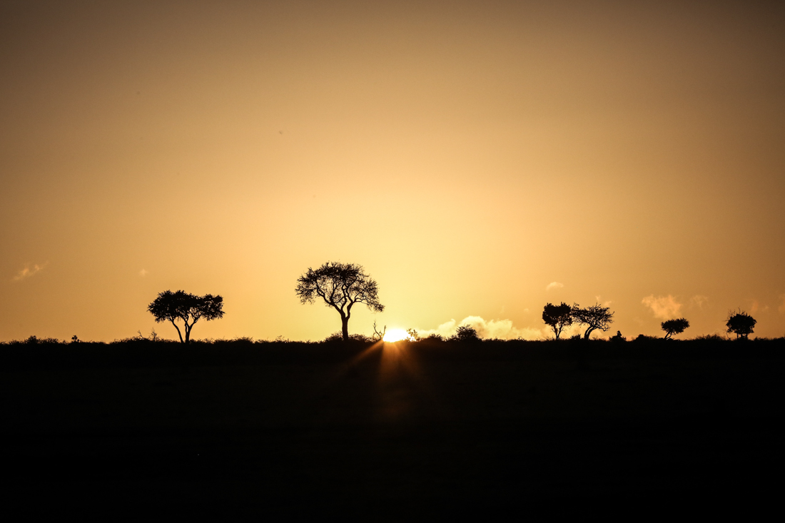 Maasai Mara, Kenya