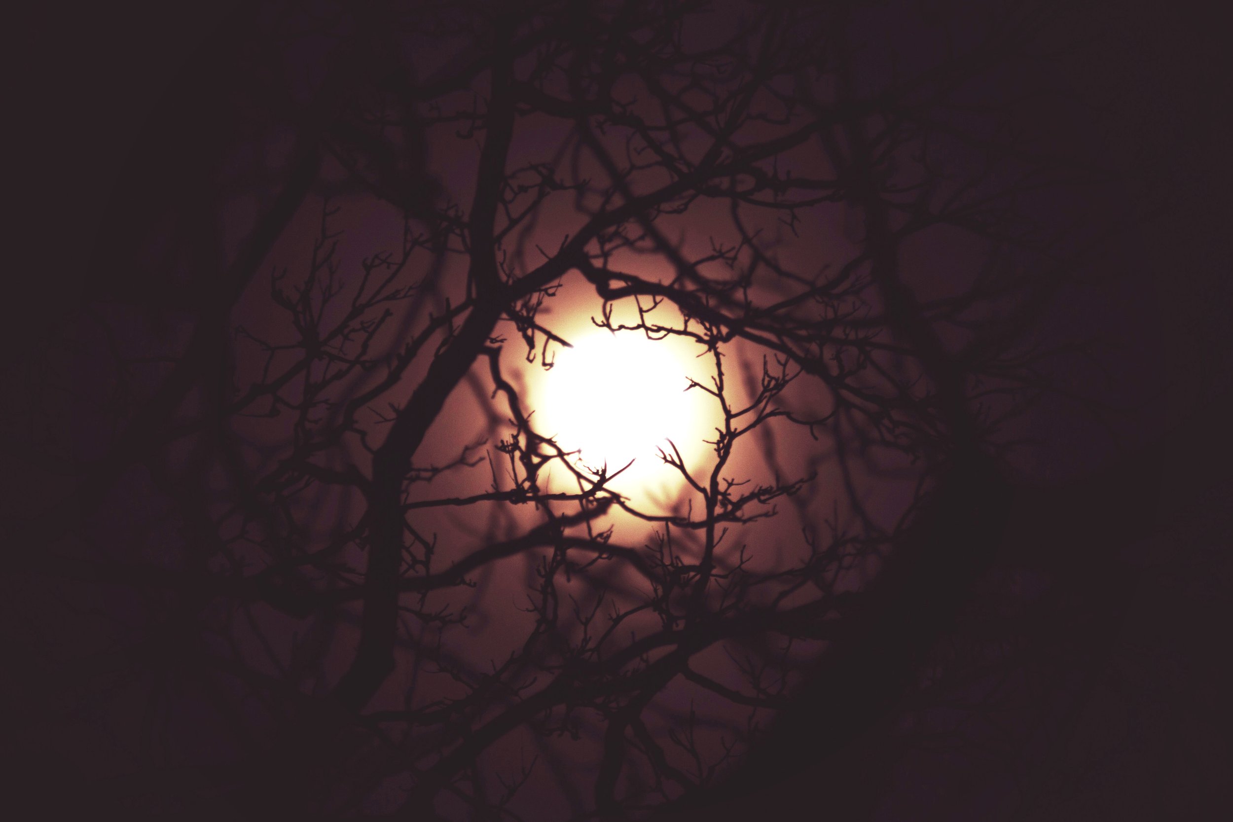 moon_red_2.jpg