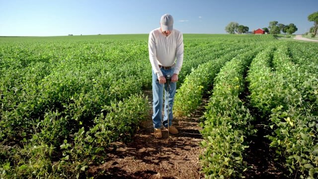 Bayer PVI One Less Worry