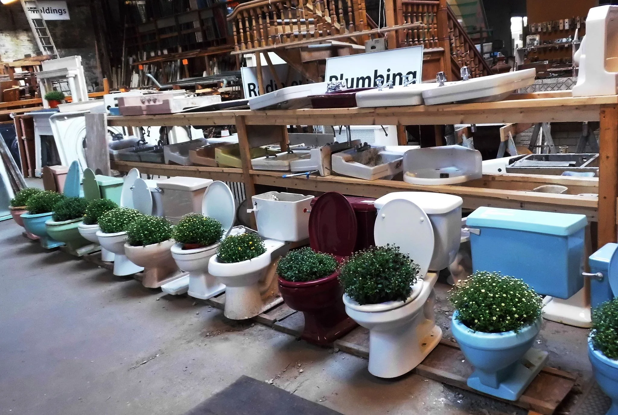 TOILETS.jpg