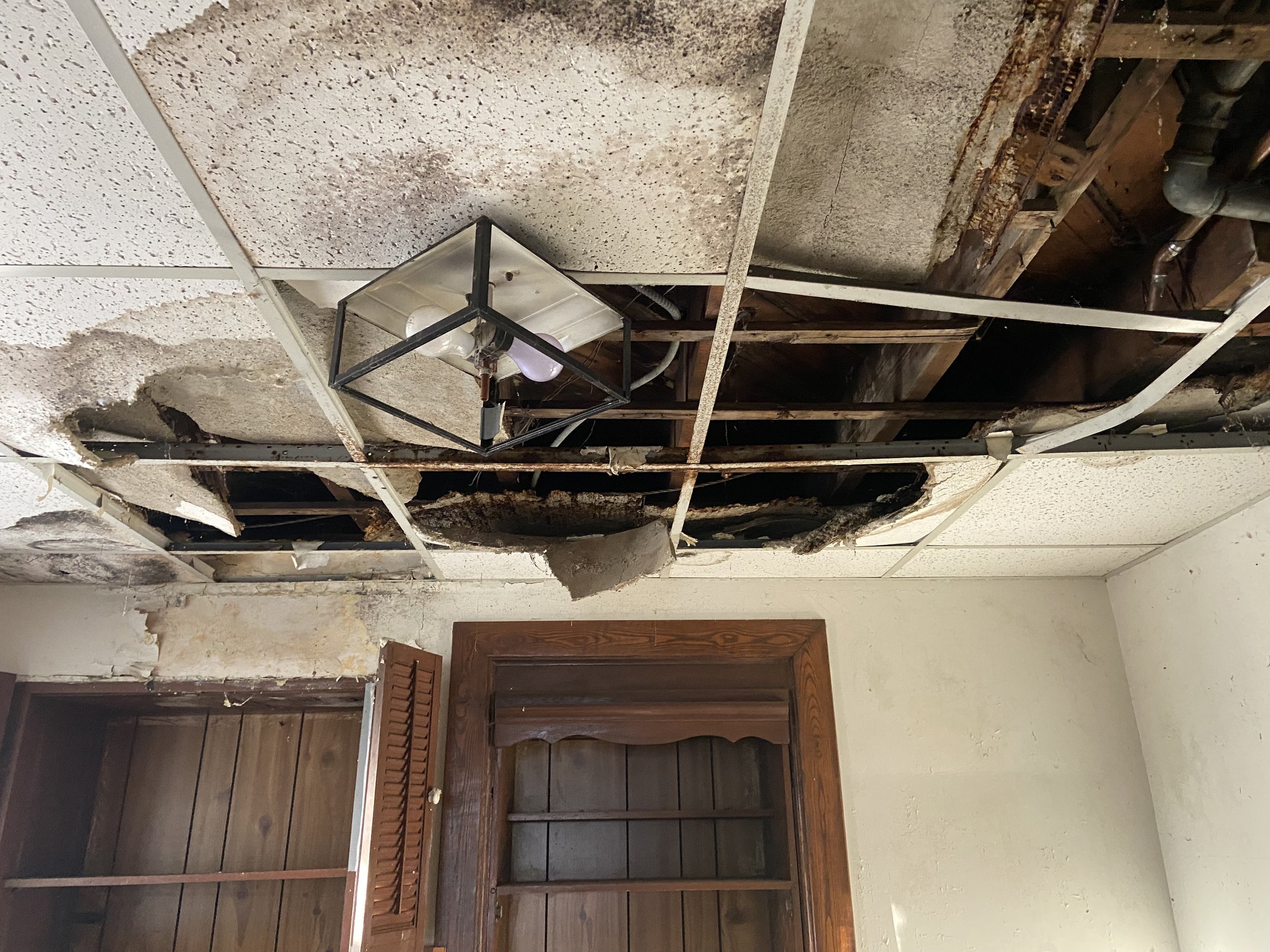 100 Holland Ave - December 2025