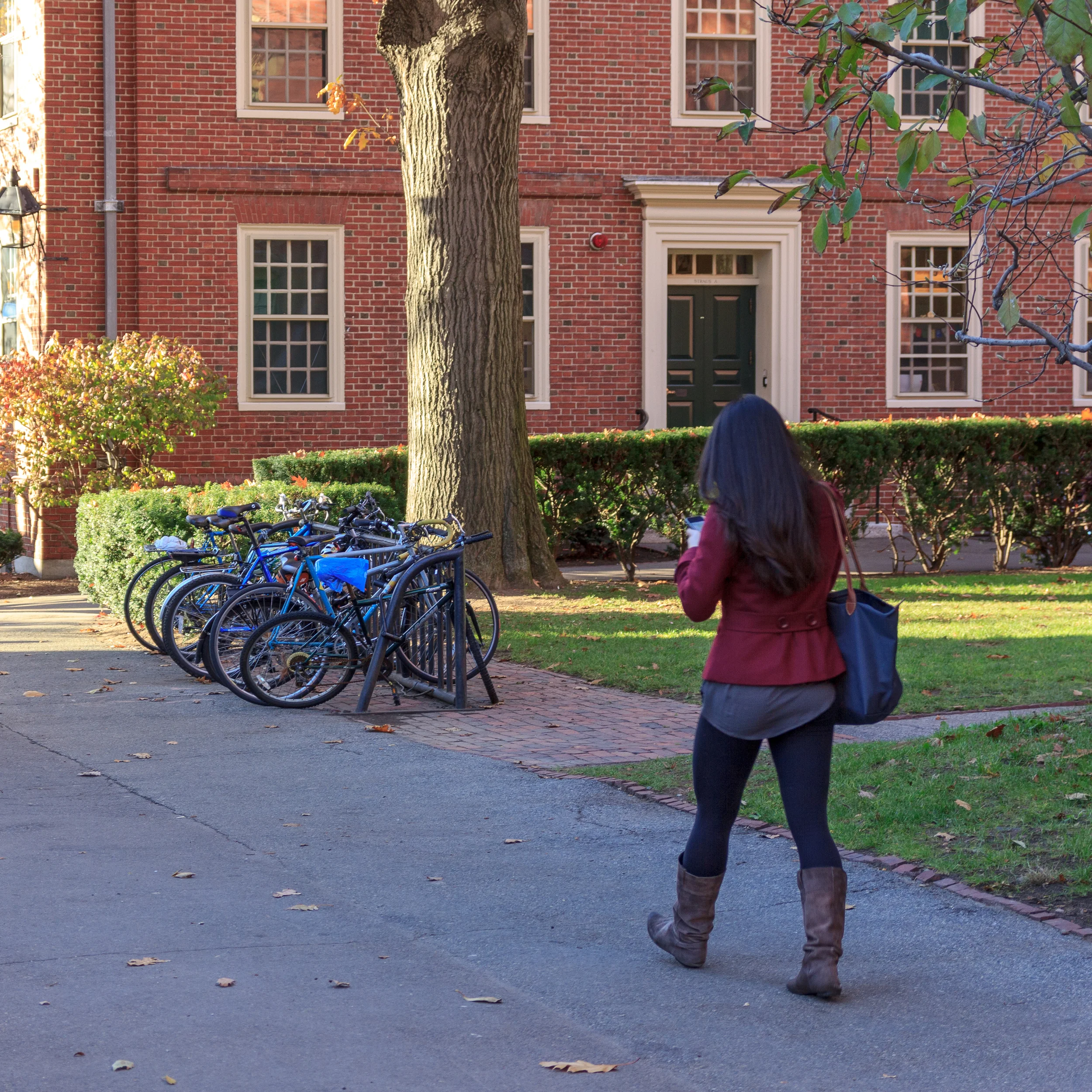 Contraception access has hardly been a disaster for women. Instead, it's helped them go to college. Image by Getty Images.