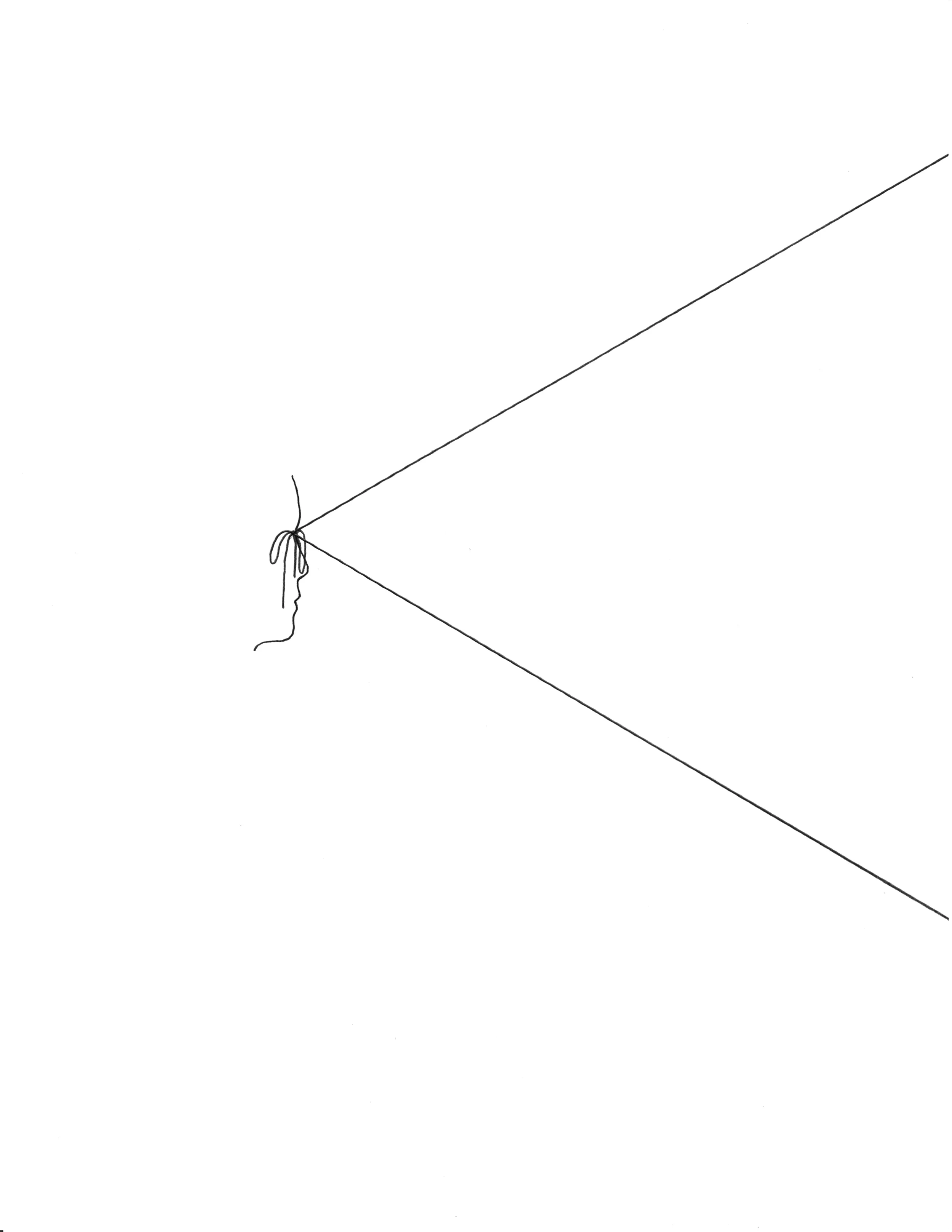 Adam Douglas Thompson - Drawing (tied vision)