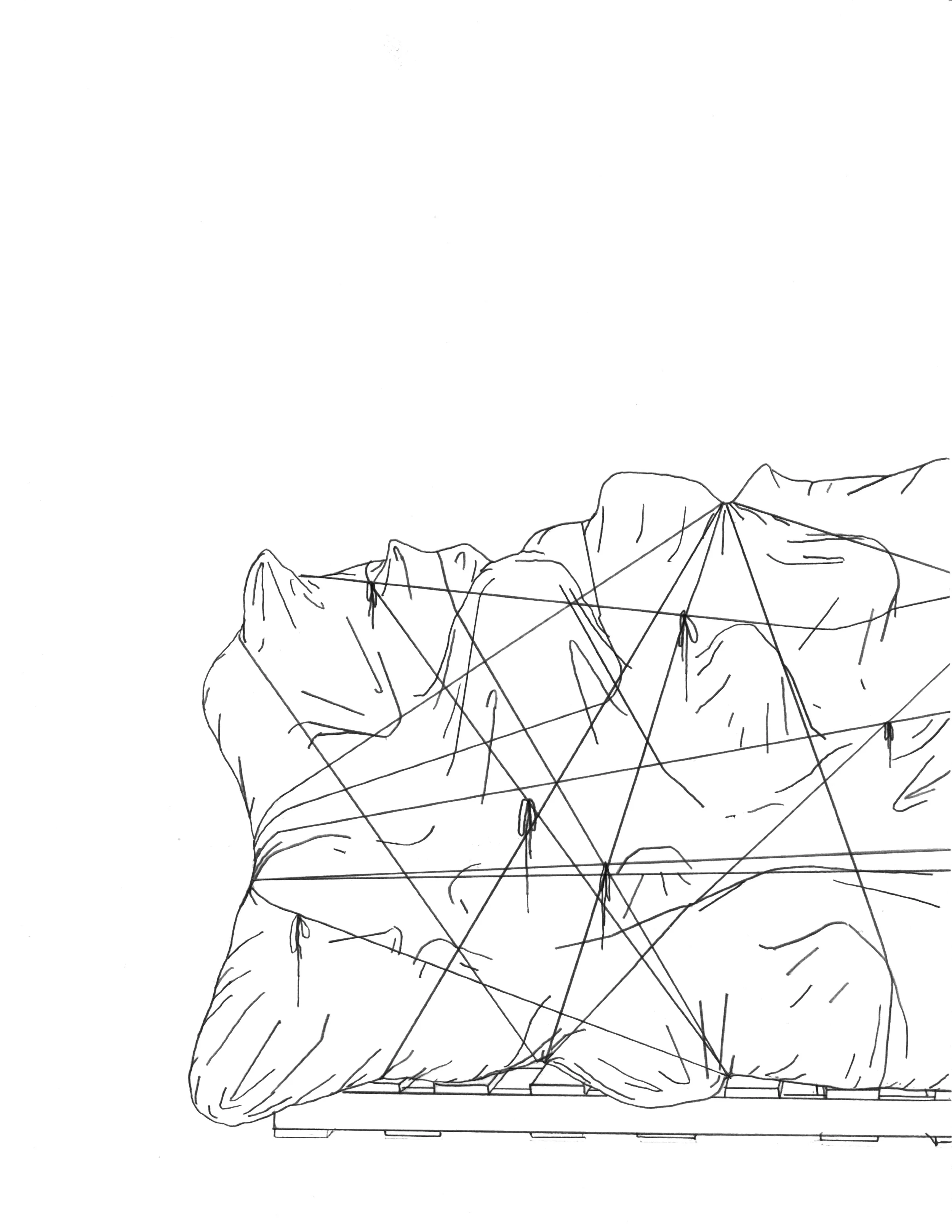 Adam Douglas Thompson Drawing (Peacable Kingdom Wrapped)