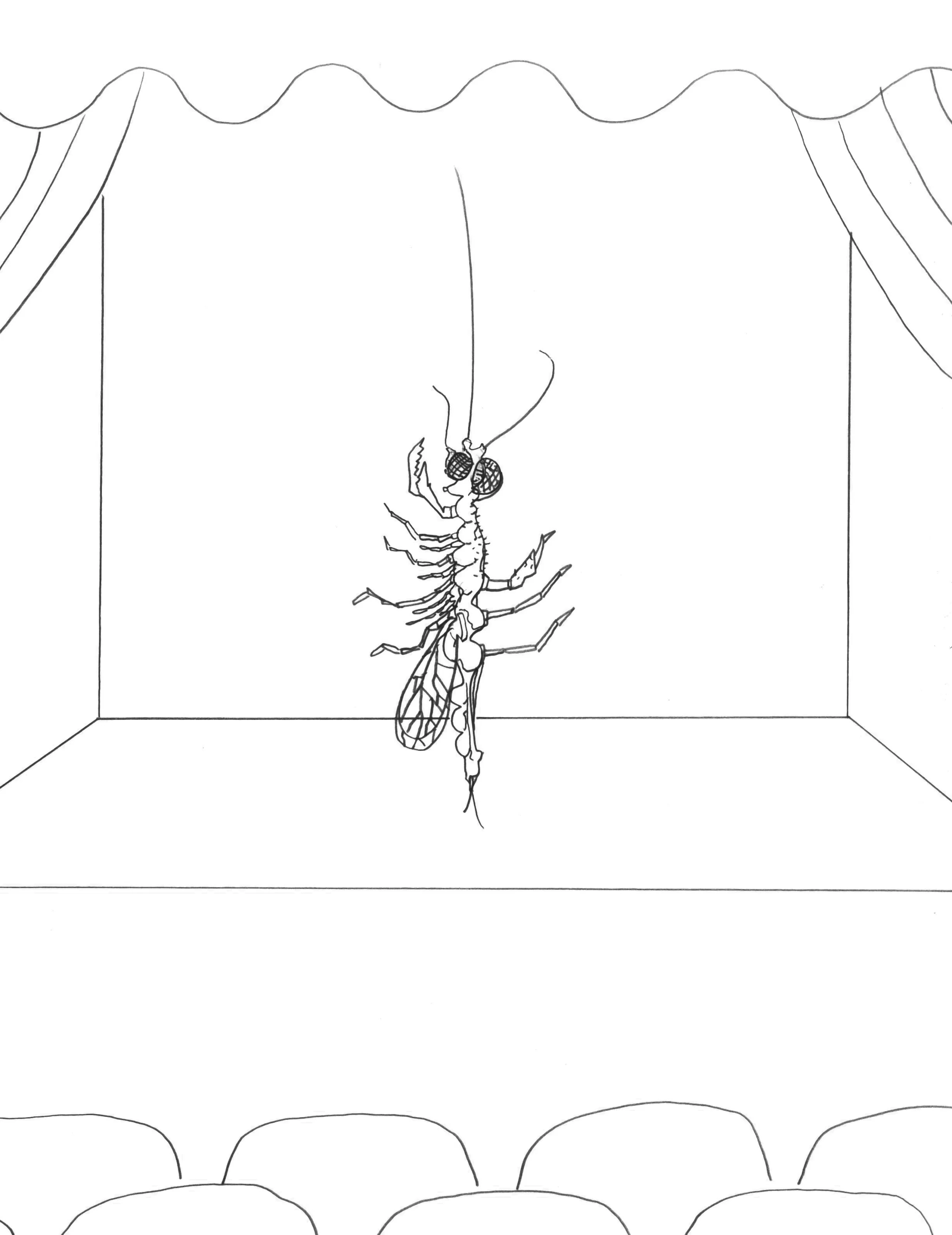 Adam Douglas Thompson - Drawing (bug, stage)