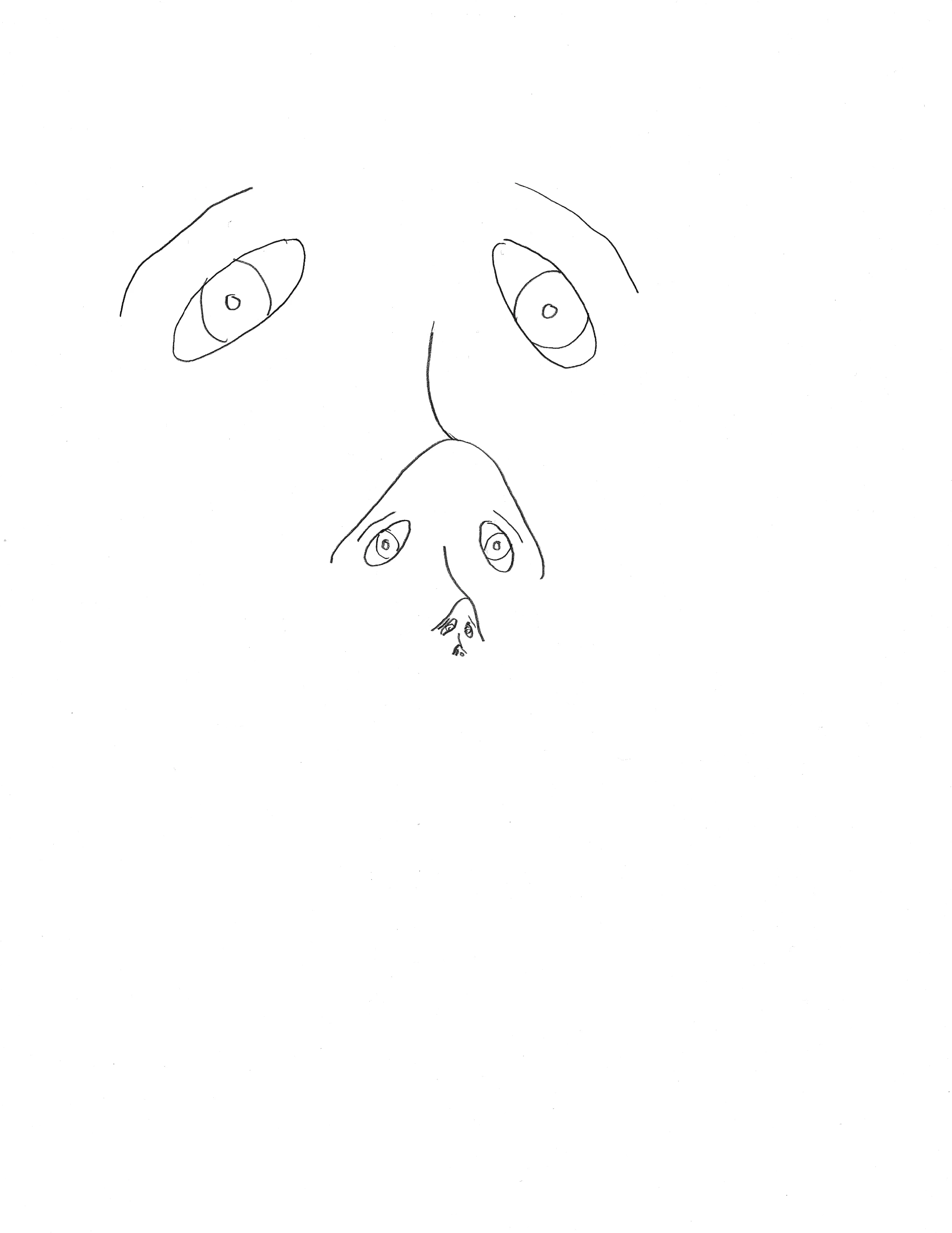 Adam Douglas Thompson - Drawing (face fractal)