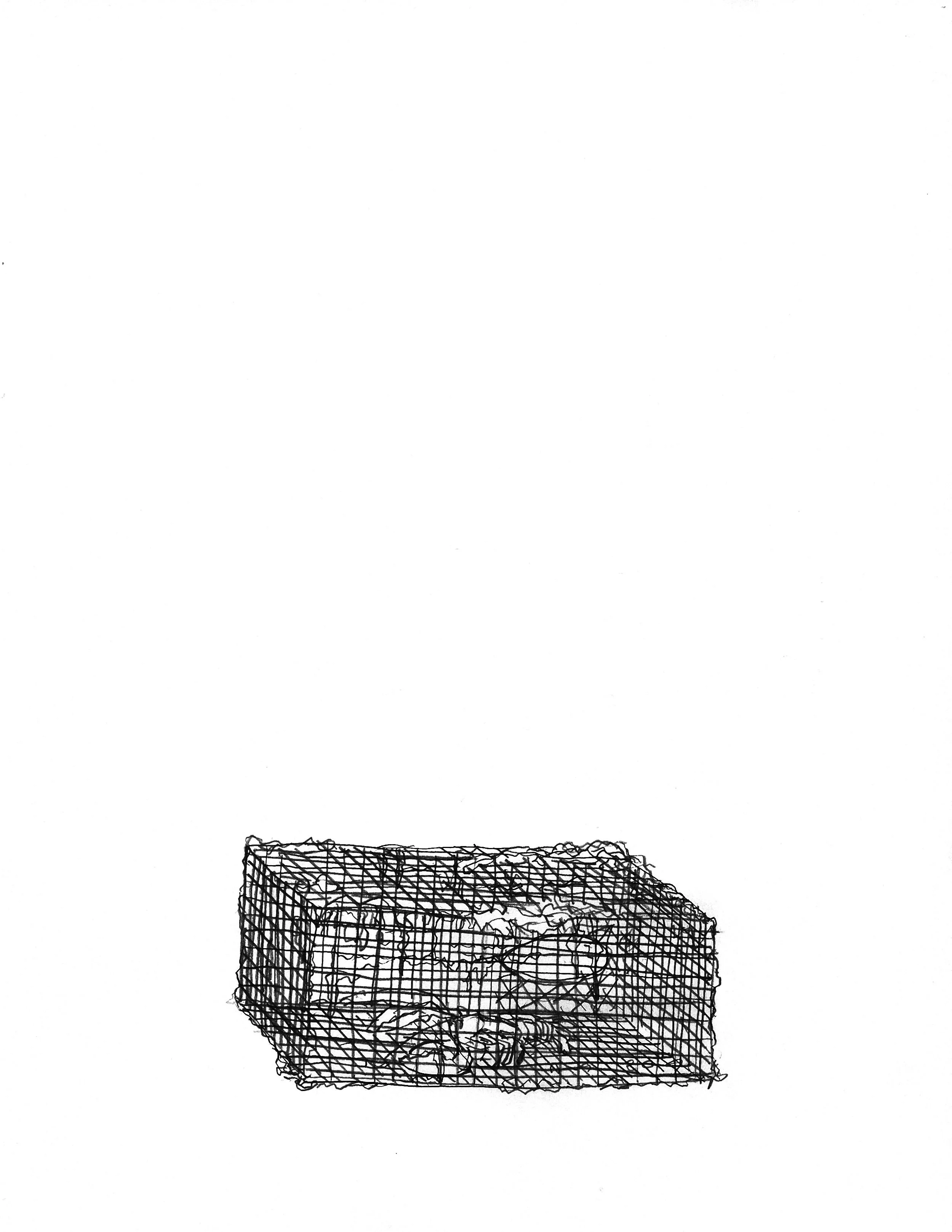 Adam Douglas Thompson - Drawing (lobster trap)