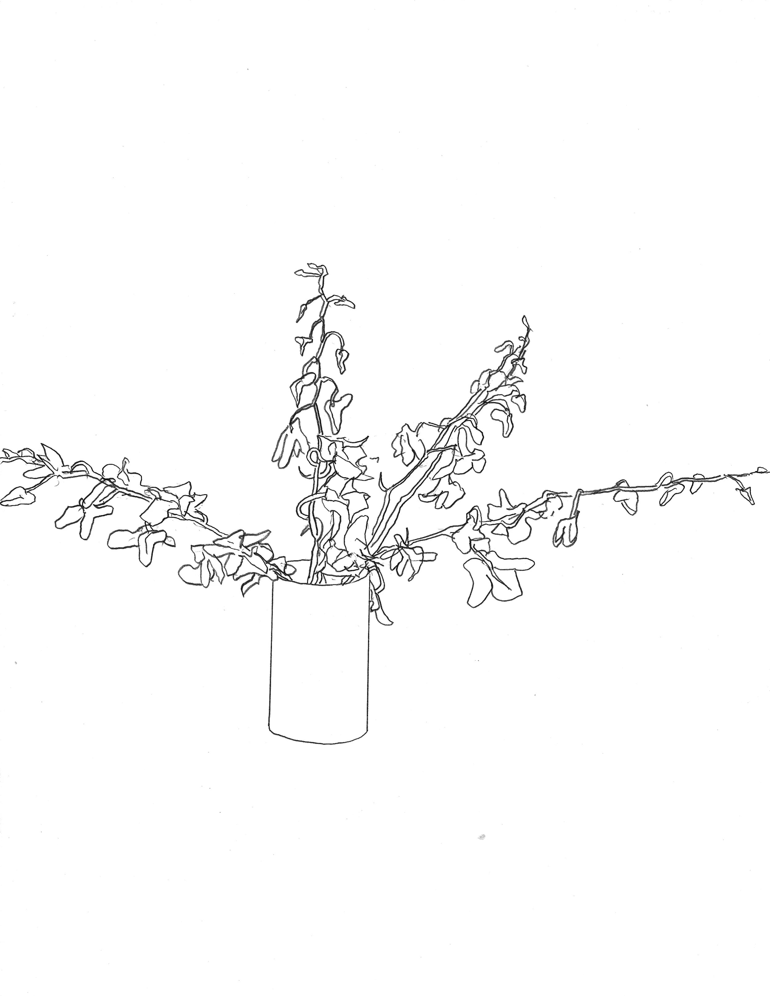Scanned Image 121720214_thumb.jpg