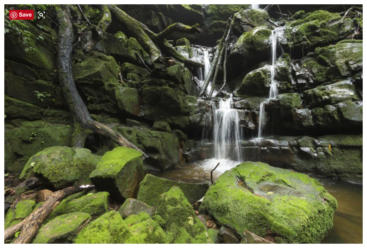 Gorgeous waterfalls just a stone’s throw away! Don’t put away those hiking boots just yet. Bundle up and head out to the Bay Area’s parks and open spaces this fall, either after a storm or even while it’s raining, and you’ll discover a lush world of green grass, towering trees, and fascinating critters—big and small—who only venture out in wetter weather. And if you follow the right path, you can even find some spectacular waterfalls! Here are three hikes perfect for enjoying nature after, or during, a downpour. Cataract Trail on Mount Tamalpias Starting in Mill Valley, take Highway 1 to Panoramic Highway. You’ll head up Mount Tam until you reach the Pan Toll Station, where you’ll turn right onto Pan Toll Road. Drive for about 10 minutes and you’ll reach the Rock Springs parking lot. Start hiking on Cataract trail following a small creek through a stunning meadow (look for wild turkeys!), to be engulfed by a canopy of oak trees, Douglas Fir, ferns, and other shrubbery that love a good drenching. The creek grows larger as you descend steep stone stairs and more challenging terrain into a small gorge, adorned with moss-covered boulders. After about 1.7 miles, you’ll hear the first of many waterfalls, but don’t stop there. If you can make it to the third mile, or to the High Marsh Trail cut off, a series of cascades awaits you below! If you have two cars, leave one at Kent Lake on Kent Pump Road. Then when you reach the end of the Cataract Trail, you can dry off and warm up before driving the beautiful West Ridgecrest Boulevard back to Rock Springs parking lot. Click here for a Google map. Maple Falls in the Santa Cruz Mountains As you head south on Highway 1 just past Capitola, take Exit 435 for State Park Drive and head east towards Aptos. Then turn left onto State Park Drive to Soquel Drive. Turn onto Aptos Creek Road and drive about a mile to reach the Forest of Nisene Marks State Park entrance. Support our state parks with an entrance fee and then drive another mile to reach George’s Picnic Area, which is near Steel Bridge on the map. As you walk on Aptos Fire Road, you’ll notice a symphony of raindrops falling from the branches of the majestic redwoods resounding throughout the forest. From the fire road, you’ll continue on Loma Prieta Grade until you reach the Bridge Creek Trail. From there, it’s about two miles or less through increasingly bountiful green trees, some adventurous creek crossings, and finally, Maple Falls! Click here for a Google map. Alamere Falls in Point Reyes Take (you guessed it) Highway 1 out past Stinson Beach towards Bolinas. Take a left on the Olema Bolinas Road (look carefully; Bolinas locals are famous for doing away with all signage directing traffic to the little beach town). Hang a right on Mesa Road, which will take you all the way to the Palomarin Trail Head (in winter, an SUV is advised as about a quarter of this road is unpaved). From there the directions are easy, but the nearly eight-mile trek is not for the timid. Start walking along the Coast Trail, and watch the trail closely. You’re sure to see some beautiful pink and red salamanders moving in slow motion. At times, there can be so many of them, you have to watch your step so as not to hurt the little guys. From here, the trail cuts inland. leading you by a series of lakes, culminating with Bass Lake (fantastic for a swim in the summer time). You’ll then descend back toward the ocean, passing Pelican Lake before the Alamere Falls Trail appears on your left. This will lead you to the top of the falls. Getting down to the beach to look back up at the waterfall cascading down the coastal cliff can take some climbing skills. But with some friends and confidence in your foot and handholds, getting down to the beach is well worth it. Click here for a Google map. So Scotchgard those hiking boots, dust off the rain jacket, and explore our soon-to-be wet and wondrous Bay Area wilderness. Anddon’t forget to pick up a waterproof map at a local outdoors store before you head out! —Rich Wright, Bay Club copywriter LINK: https://onelombard.com/fitness/2014115trailblazer-winter-waterfalls/